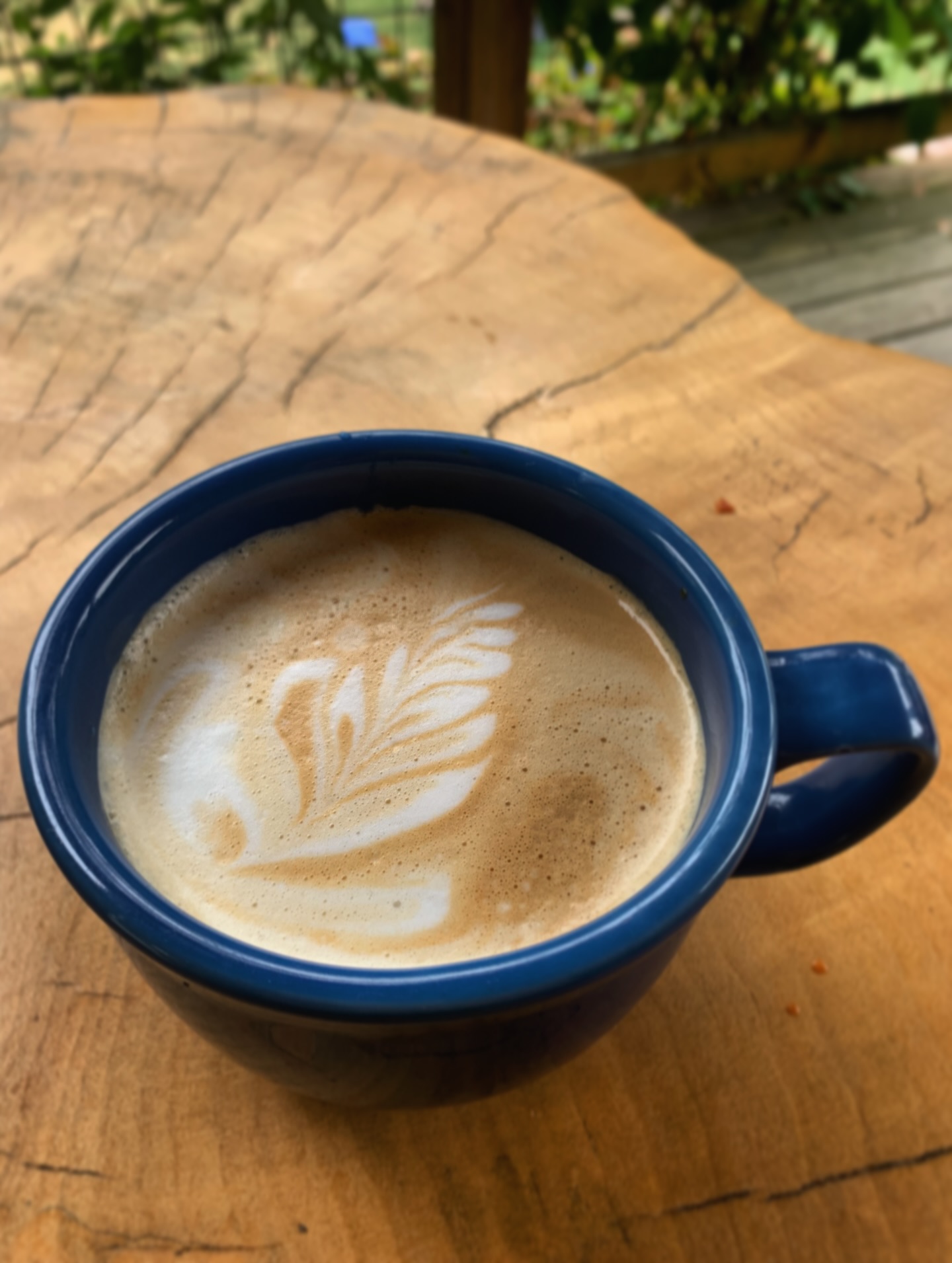 caramel latte + rainy day + mountain drive = one seriously dreamy way to start the day
Don’t take our word for it, try it yourself! We’re open at 8 AM daily, until the chairs start spinnin’!