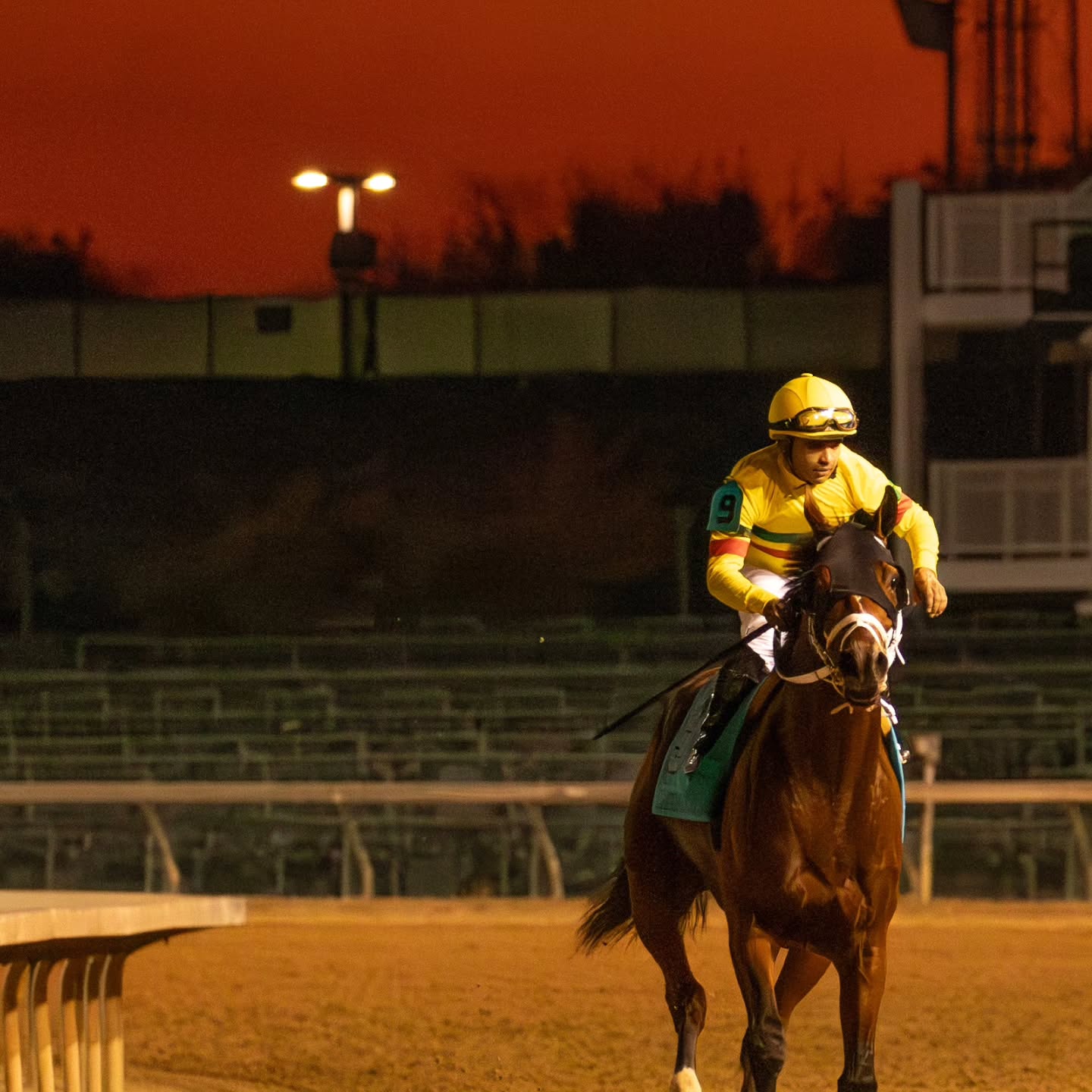 The last race is over and the day closes on another Claiming Crown and what a glorious day it was. Congratulations @nationalhbpa @churchilldowns @kentucky_hbpa @eric_hamelback @alex11foley and all attendees! This event just keeps getting better and better.