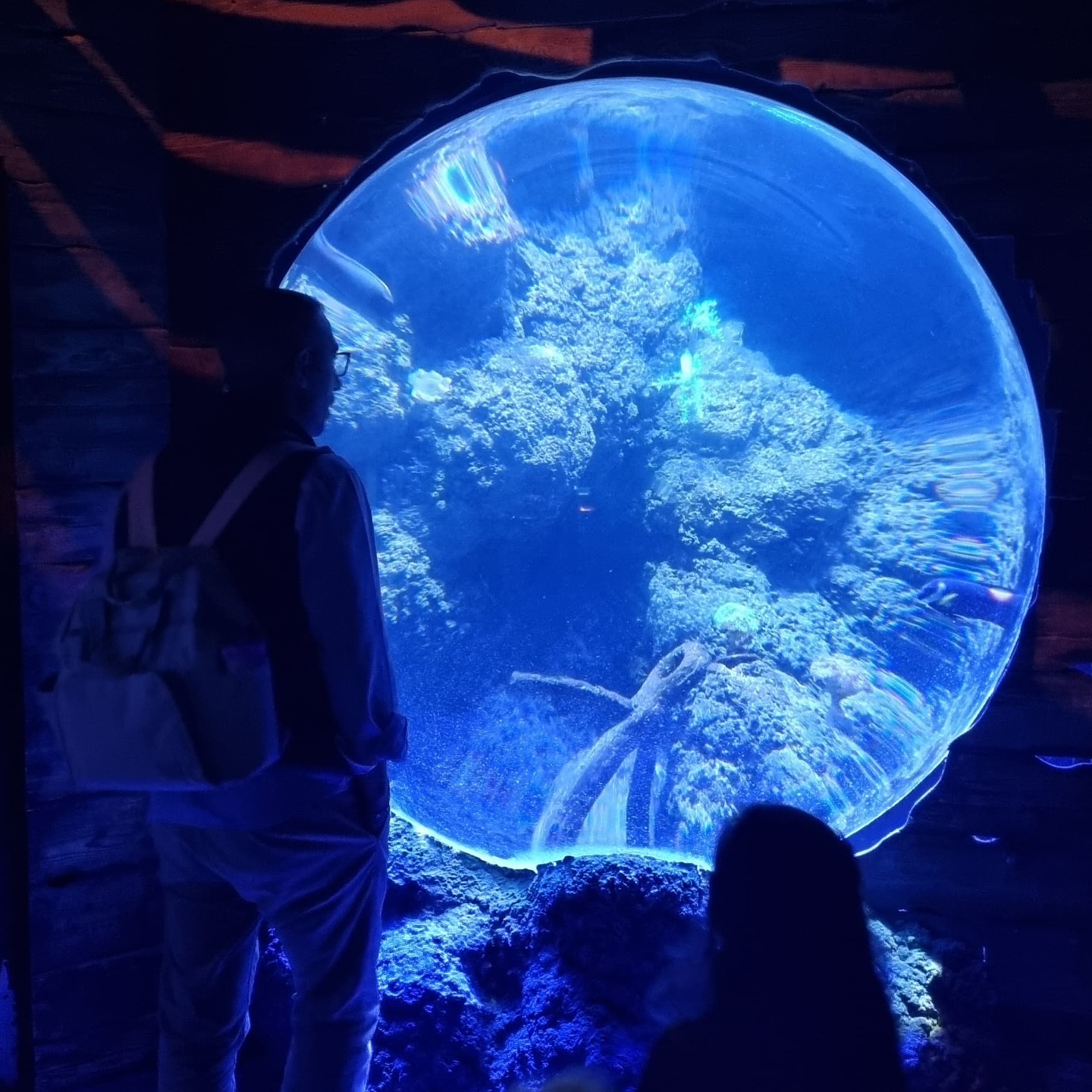 🤩 À descoberta do 🌍