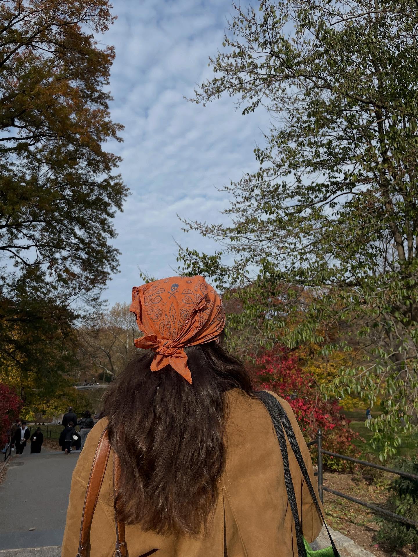 fall in nyc fall in nyc fall in nyc >>>>