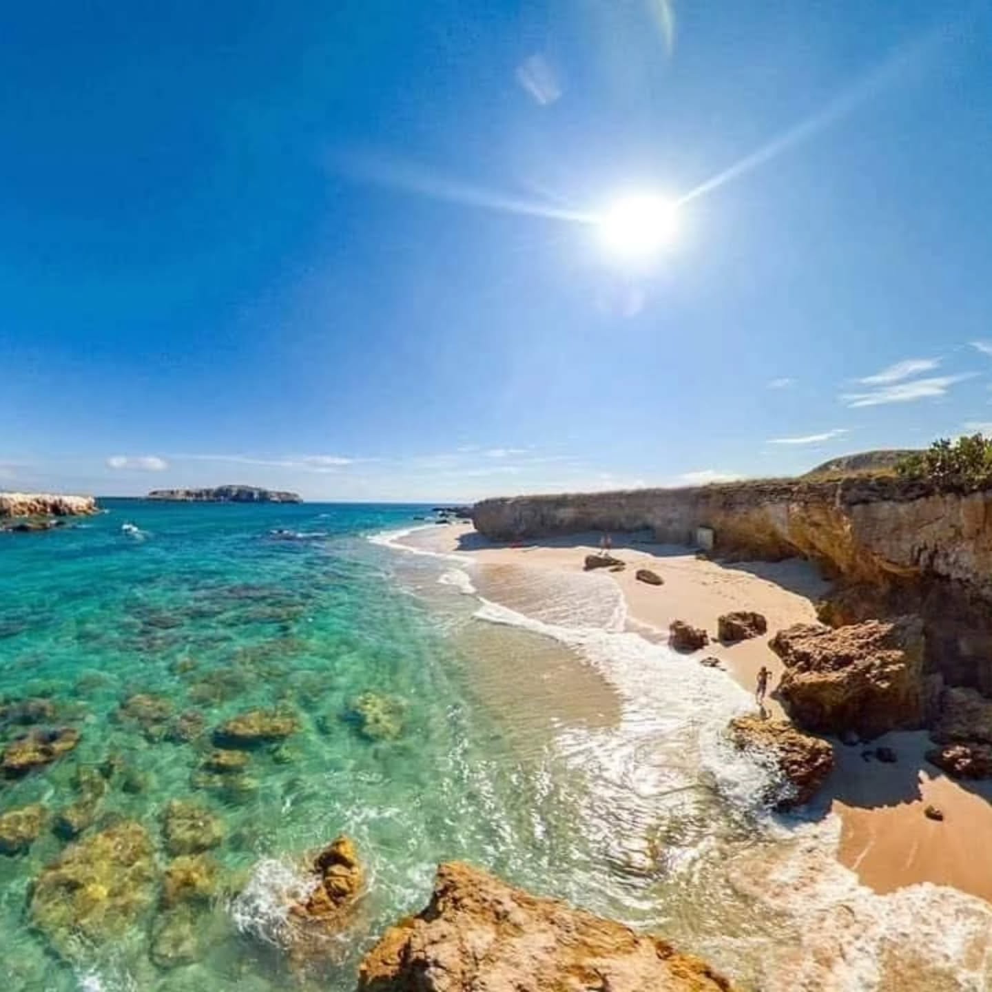 ⚓️ Si esta imagen apareció en tu día… presta atención.
Hay destinos que te buscan, experiencias que te eligen.
Y el océano, hoy, te llamó a ti. 🌊✨
Descubre el Snorkel Safari con Avistamiento de Ballenas 🐳
en las enigmáticas Islas Marietas, Punta de Mita.
Naturaleza protegida, aventura guiada y servicio profesional.
📲 Reserva tu lugar: https://wa.me/523223063041
Sandra Magaña — Eco-aventours
Turismo responsable & experiencias auténticas. 🌿