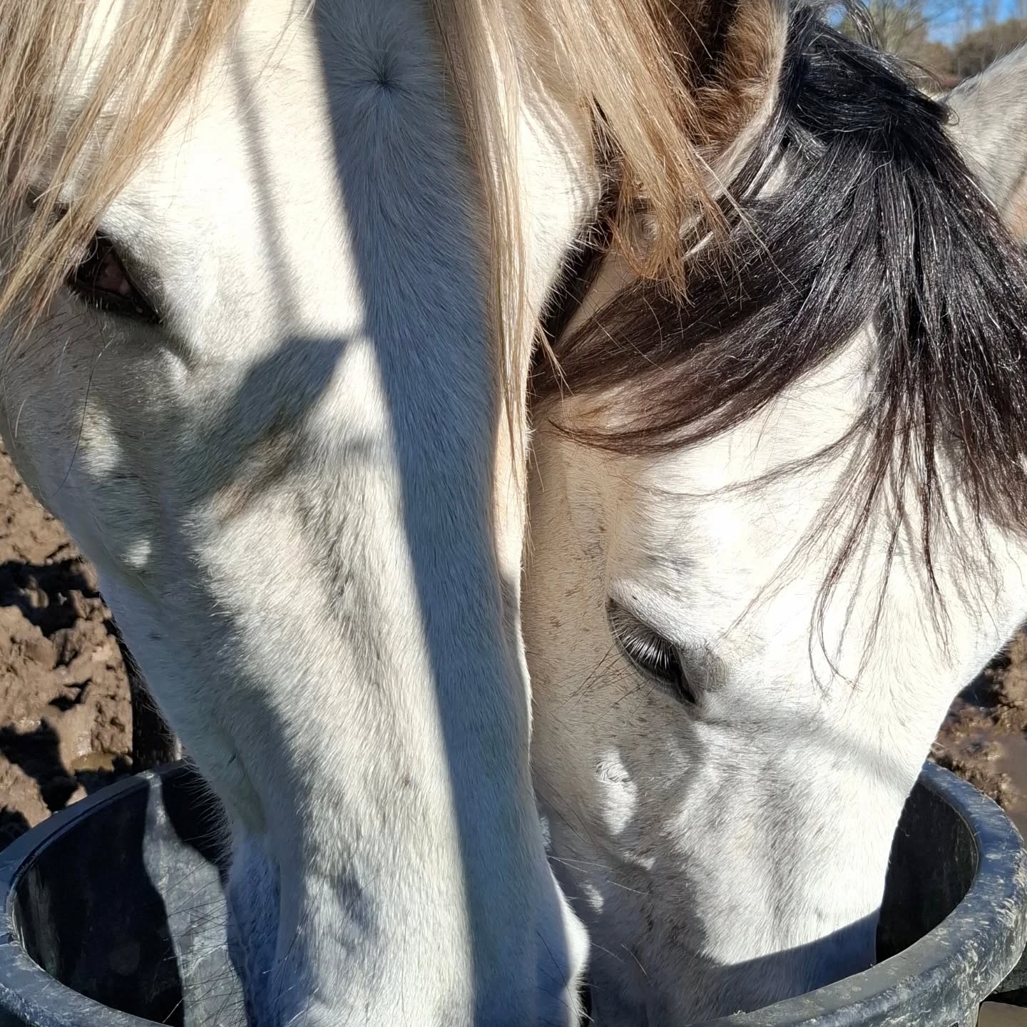Les potes du samedi...