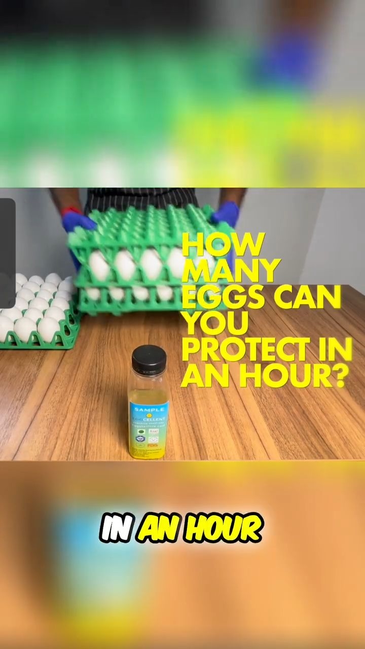 How many eggs can you coat manually
We ran a simple test using Eggcellent to see how fast eggs can be coated with our natural shelf life extender.
Perfect for farmers, distributors, exporters, and anyone who handles eggs in bulk.
Watch till the end to see the answer.
#Eggcellent #EggIndustry #PoultryFarming #EggProcessing #EggSupplyChain #FoodSafety #AgriTech #ShelfLife #EggStorage #ExporterTools