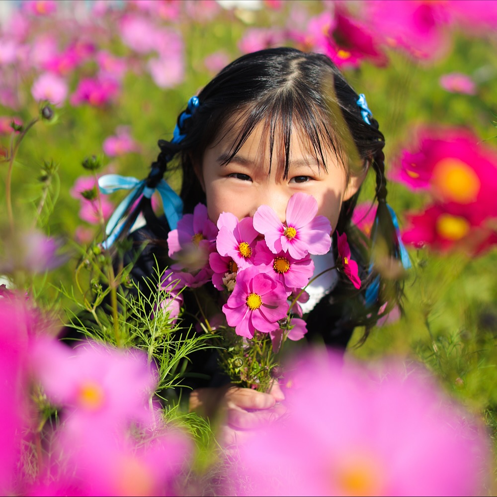 コスモスロケ📸北島町の知る人ぞ知るロケスポット✨