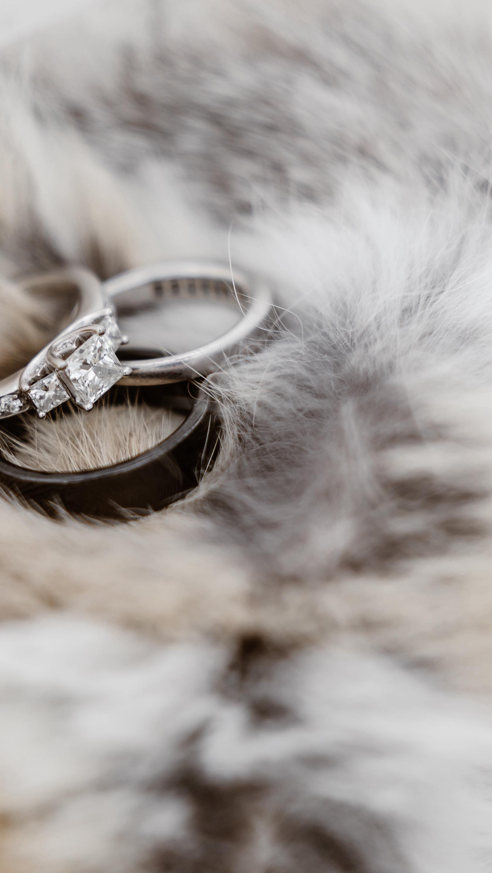 A beautiful but simpel proposal this week at @_peakyriderszermatt ❤️
#zermatt #zermattproposal #winterproposal #matterhornview #winterwonderland #zermattmatterhorn #zermattswitzerland