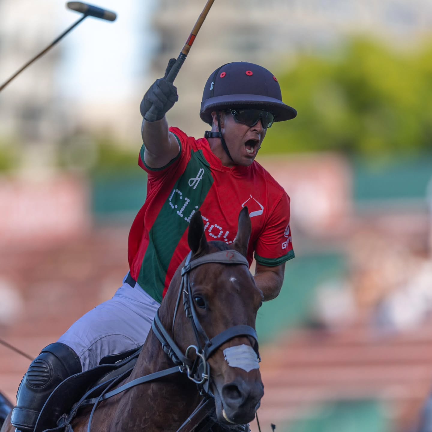 La Irenita La Hache Clinova -con el debut de “Vizcacha” Mac Donough por su tío, el lesionado Pablo- dio vuelta un marcador totalmente adverso en los primeros chukkers, venció por 17-14 a La Ensenada Clonargen, lo dejó sin chances de jugar la final y, con dos triunfos en igual cantidad de presentaciones, quedó en gran posición para definir la Zona B del torneo.
#siemprepolo
#somospolo
#veniaverpolo
#vivielpolo
#sentielpolo
#revistapololive
#triplecorona2025
📸 @paddyramirezph