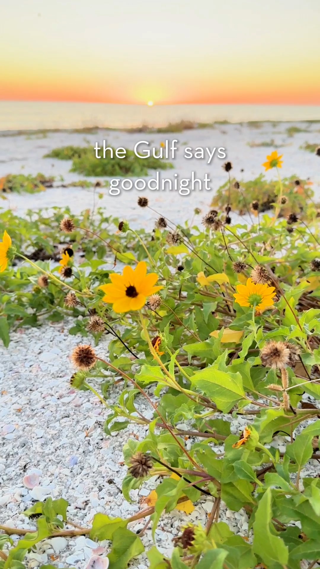 Calm skies tonight over our little stretch of paradise. Which do you prefer — bold sunsets or soft pastel ones? 🌅