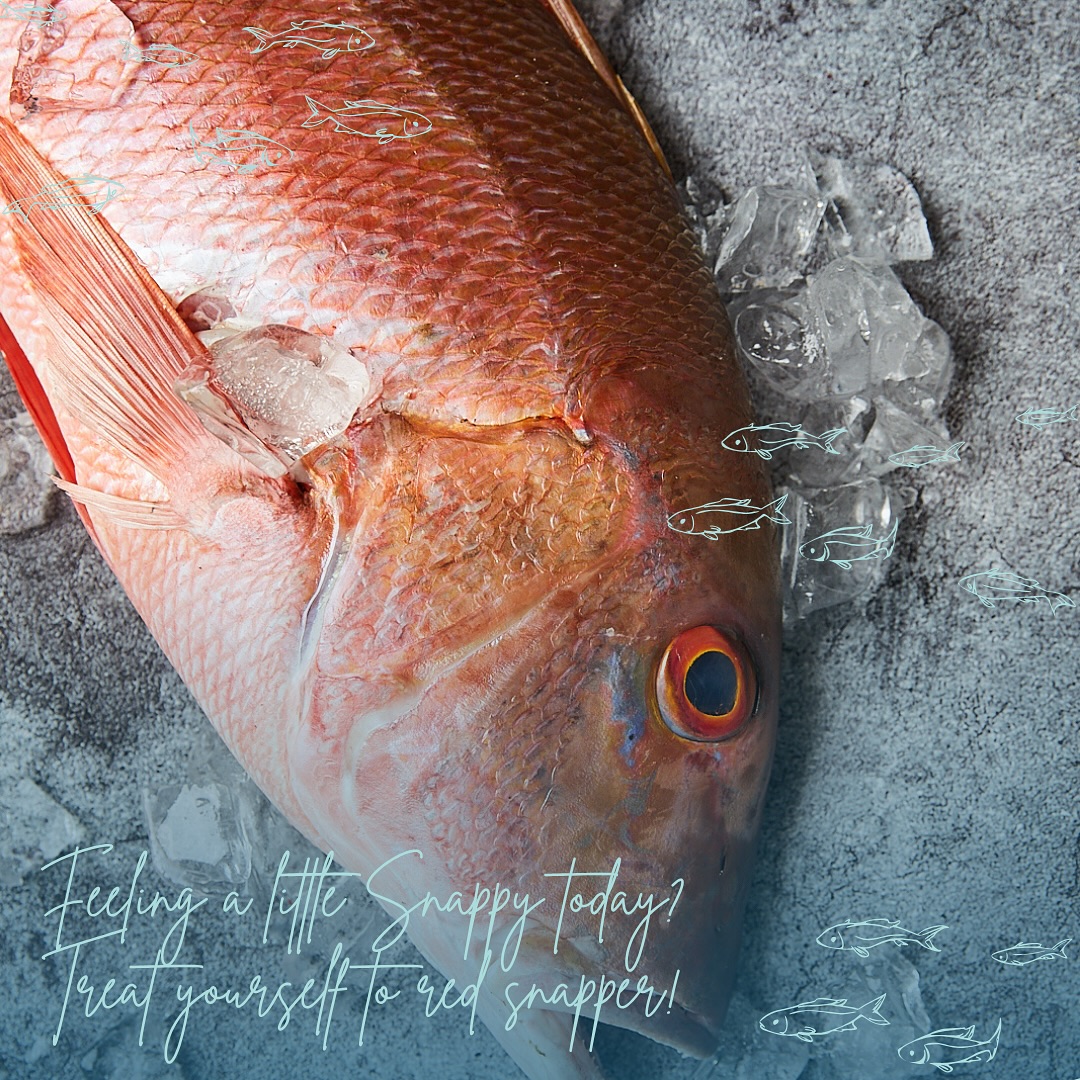 Fresh, flaky, and oh-so-snappy! 😋🐠 Try our Red Snapper!
#steakation #island #artisan #fresh #catch #daily #réel #fish #red #snappper #deep #blue #sea #sealife #yum #ocean #seafood #foodie #carribbean #cuts #shop #local #friends #family #yacht #charter #fine #dine