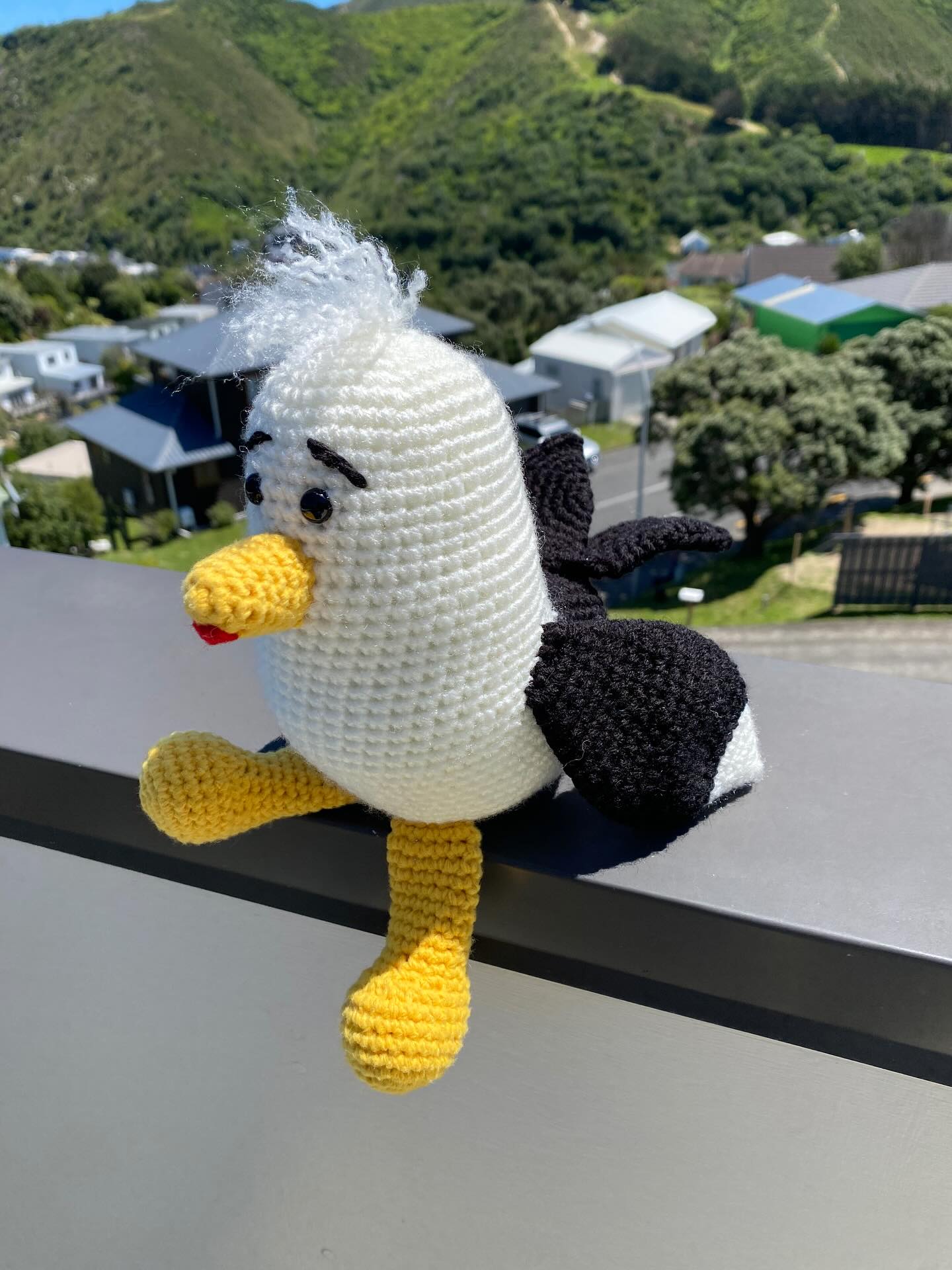 Today’s crochet. A little black backed seagull. #madebyme #nznativebirds #crochetanimals #crochetbirds