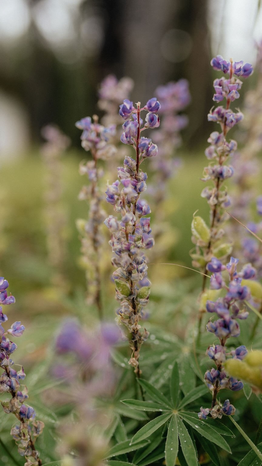 Jump scare every time