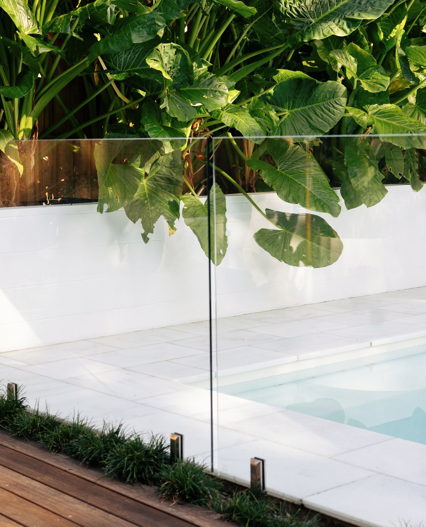 Check out this gorgeous pool we've given a makeover! Fresh surrounds and garden beds now looking the absolute goods with lush tropical planting.
🔨 Byron Bay Builder & Carpenter - home renovation, kitchen, bathroom and outdoor living specialists