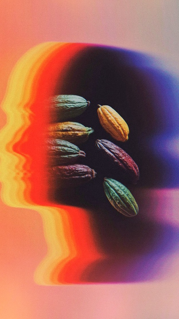 Cacao Light & Darkness 🜃 Part 2
Cacao shows us the light and the shadow, both live within our hearts. She is gentle, but never shallow, she doesn’t fix, she reminds us of our wholeness.
Once the heart opens, all comes to light. Our beauty, our light, our wounds, our love, our fears, our anger, our sadness and all returns to the same source.
That’s why she’s here on Earth now:
to remind us of our oneness & essence.
✨Have you ever felt cacao showing you your light & shadow? ✨
Love, Mayu 🤎
•
•
#cacaomedicine #plantwisdom #sacredcacao #cacaowisdom #ceremoniallife #cacaodelavida #cacaoritual #cacaowhispers #mayudelavida #cacaoceremony #heartmedicine