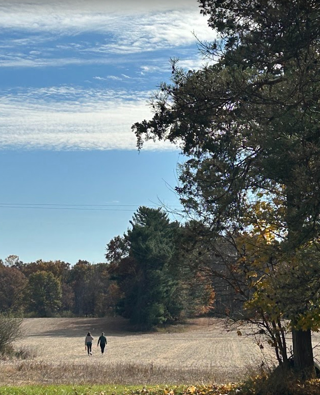 This week's Timber Creek in the Wild. Consider this your reminder to take a moment to simply notice. ✨️
📸 Thankful for walks through fields with friends. ❤️
#meditation #mindfulness #timbercreekinthewild #noticing #counseling #chelseami #chelseamich