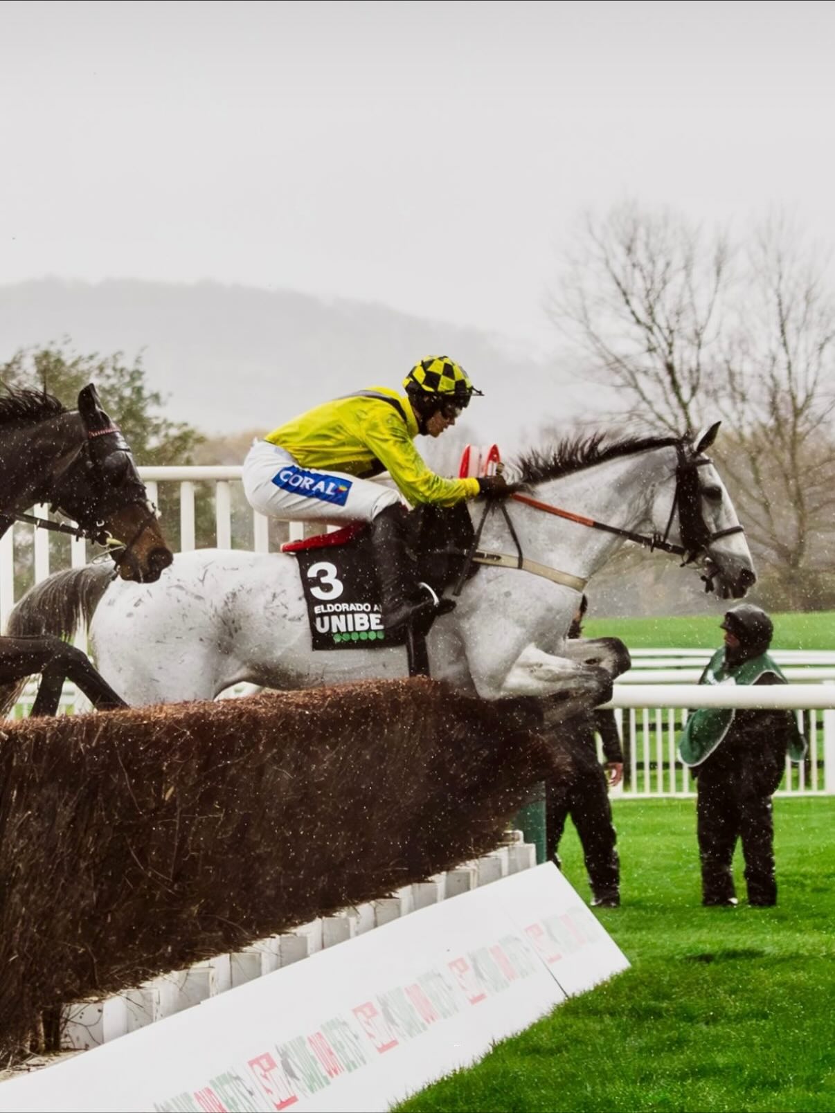 🌟 Eldorado Allen - What a super star! 🌟
Such a great day @cheltenhamraces winning the Veterans Chase for Terry Warner, John Romans and family.
Jumped for fun and full of enthusiasm, totally deserved for such a great horse over the years.
Big Well done to Brendan and all the team but especially Jemma who rides him at home 🤩
@brendanp1995
@coralofficial
@dodsonhorrell
@megandentphotography 📸