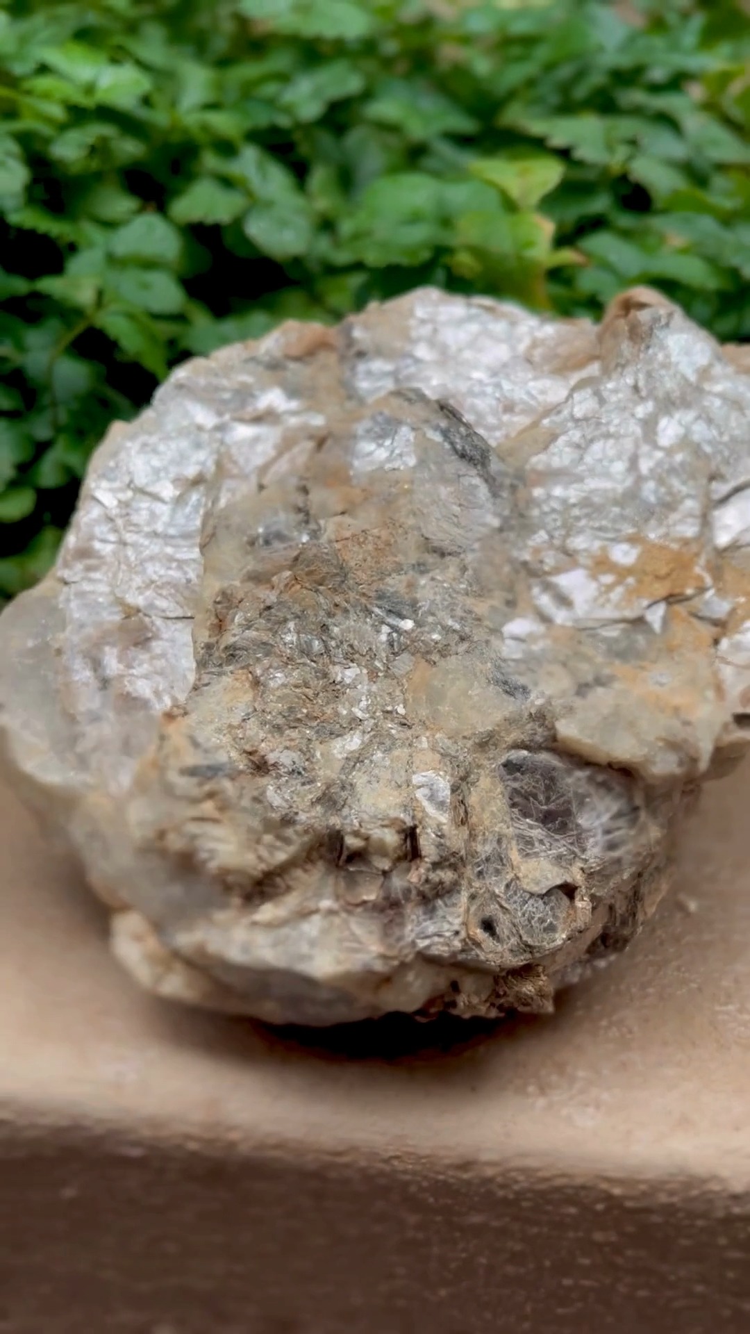 Did you know?
This shiny mineral isn’t gold — it’s pyrite, better known as Fool’s Gold.
Its golden color often misleads beginners, but trained samplers know the difference.
Pyrite is made of iron and sulfur and forms beautiful cubic crystals.
Through proper sampling and identification, miners ensure accurate analysis and avoid costly mistakes.
Learn how to identify and sample minerals correctly in our Basic Sampling Course, accredited by the Minerals Council of South Africa (Chamber of Mines).
#SpiroSurveyTraining #BasicSampling #MiningEducation #FoolsGold #Pyrite #MineralsCouncilSA #GeologyFacts