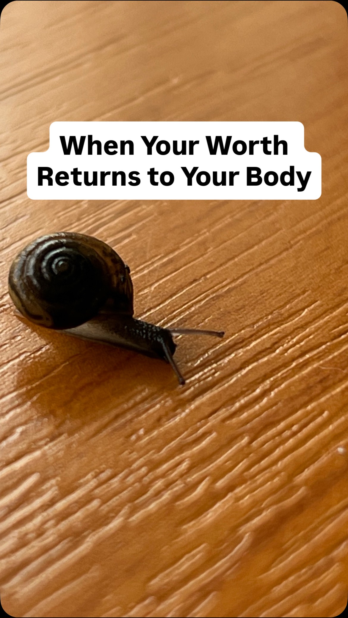 So many of us grew up in environments where our worth was never reflected back to us —
where anger had to be swallowed,
where grief had nowhere to go,
and where our nervous system learned survival instead of connection.
And I hear so many of you sharing the same pattern:
growing up around narcissistic or sociopathic behavior left deep imprints on your body —
sometimes even shaping your health, your boundaries, your energy, your sense of self.
This message is for you:
✨ I hope you reconnect to the energy of your own worthiness.
✨ I hope you release the anger you were never allowed to feel.
✨ I hope you grieve the things you deserved but never received — and the things you never deserved but lived through.
✨ And I hope your body softens as you return to your authentic core.
To all the people-pleasers, the hyper-responsible, the ones who had to stay small to stay safe —
your inner connection is not lost.
It’s still there.
It’s waiting for you.
Let’s re-root into our own soul,
reclaim our energy,
and live from our fullest, truest, most connected potential.
With love,
Denisa 🤍
#HealingJourney #SelfWorthRecovery #InnerChildHealing #AuthenticLiving