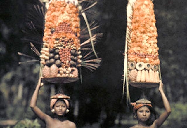 Rahajeng Galungan Sareng Sami 🌾 〰️ Galungan is a celebration of Dharma’s triumph over Adharma — a sacred time when ancestors return to guide their descendants in overcoming evil.
Rooted in myth, the tale of Barong and Rangda is told: Barong embodies goodness, Rangda the shadow of evil. Both forces, revered and holy, represent Rwa Bhineda — the eternal balance of creation and destruction.
#galunganday #happygalungan #wukudungulan #baligalungan
Photo — Franklin Price Knott from National Geographic Society