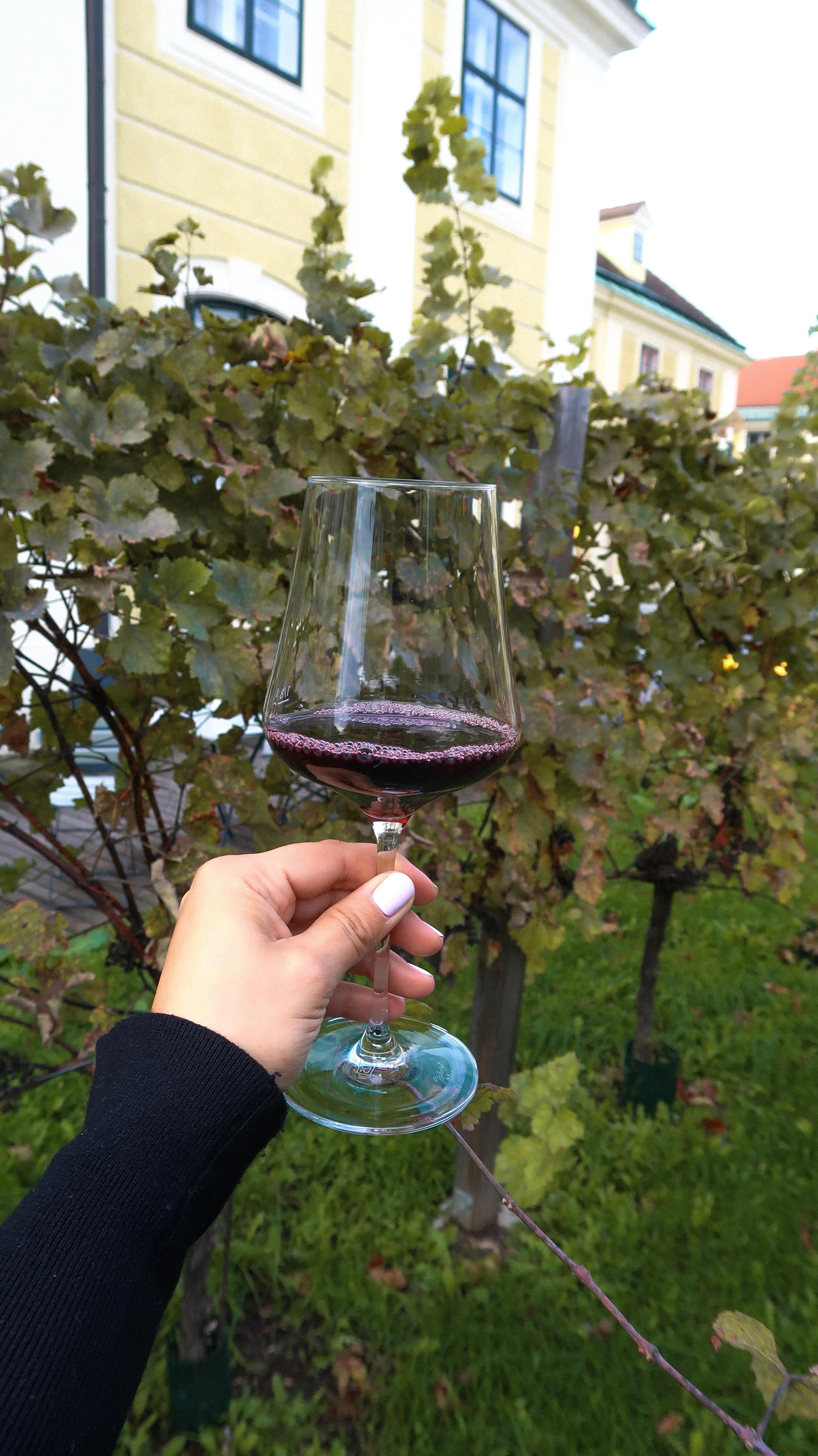 Beim Kochen mit Rotwein kann man viel falsch machen 🍷
Andi verrät, worauf du unbedingt achten solltest - damit die Soße auch wirklich schmeckt. 😉
#SchlossSchönbrunn #kochen #Restaurant #RestaurantWien #Wien #WienerKüche #AndiWojta #Kochtipp #Rotwein #Zahel