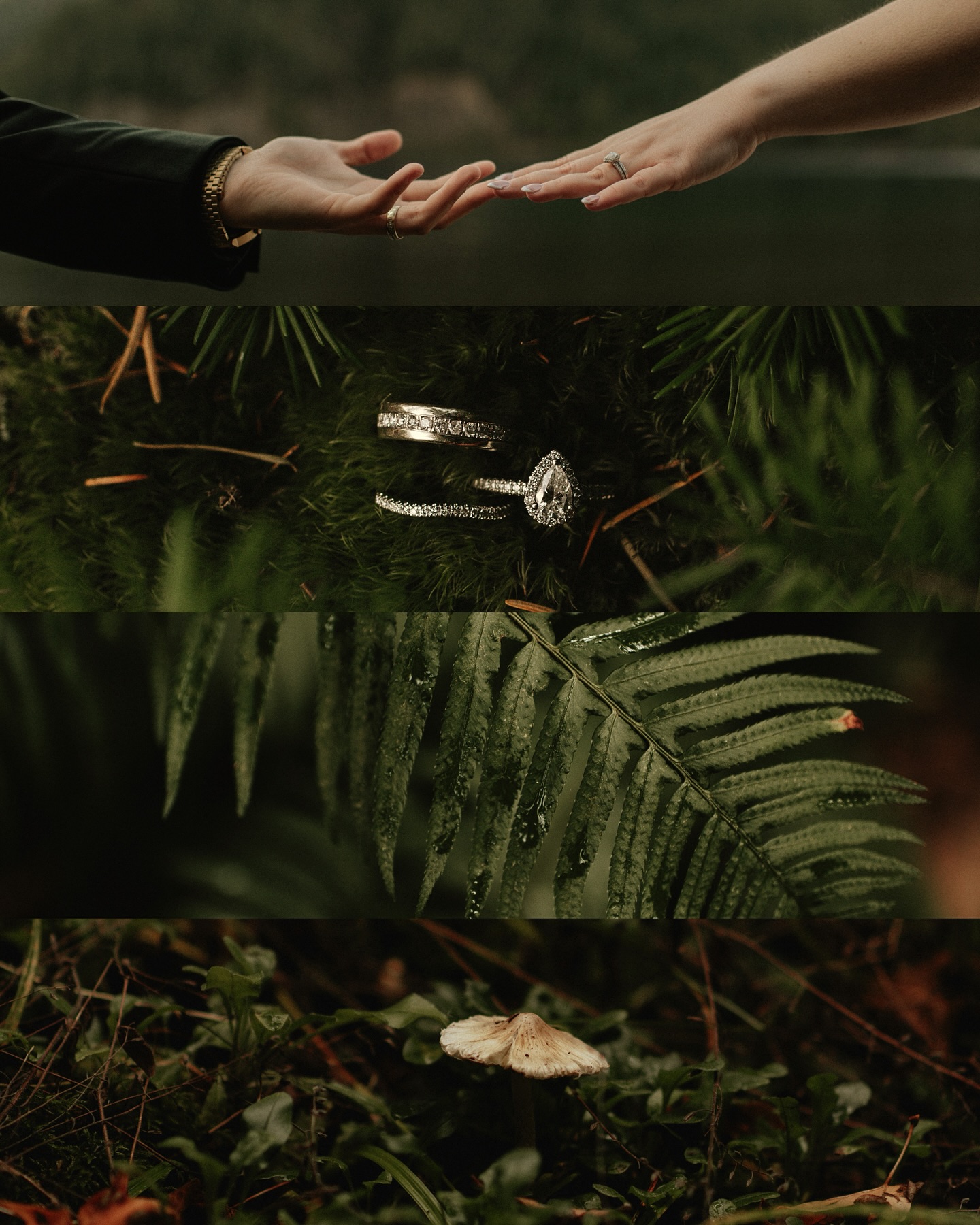 “If you’re questioning whether or not you should book Savanna as your photographer, DO IT!
She recently photographed our wedding and the pictures turned out absolutely stunning. She truly captured the love and magic of our special day. When I look at the pictures I feel like I’m transported right into those moments, and that to me is priceless.
She made us feel at ease, and all of our guests loved having her around. She’s incredibly talented and worth the investment. She got our photos back to us really quickly too which was an added bonus!” -A&N
#washingtonweddings #washingtonelopement #washingtonelopementphotographer #lakecrescent #olympicnationalpark #adventureelopement #adventureelopementphotographer #privatevows #lakeelopement #forestelopement #westcoastphotographer