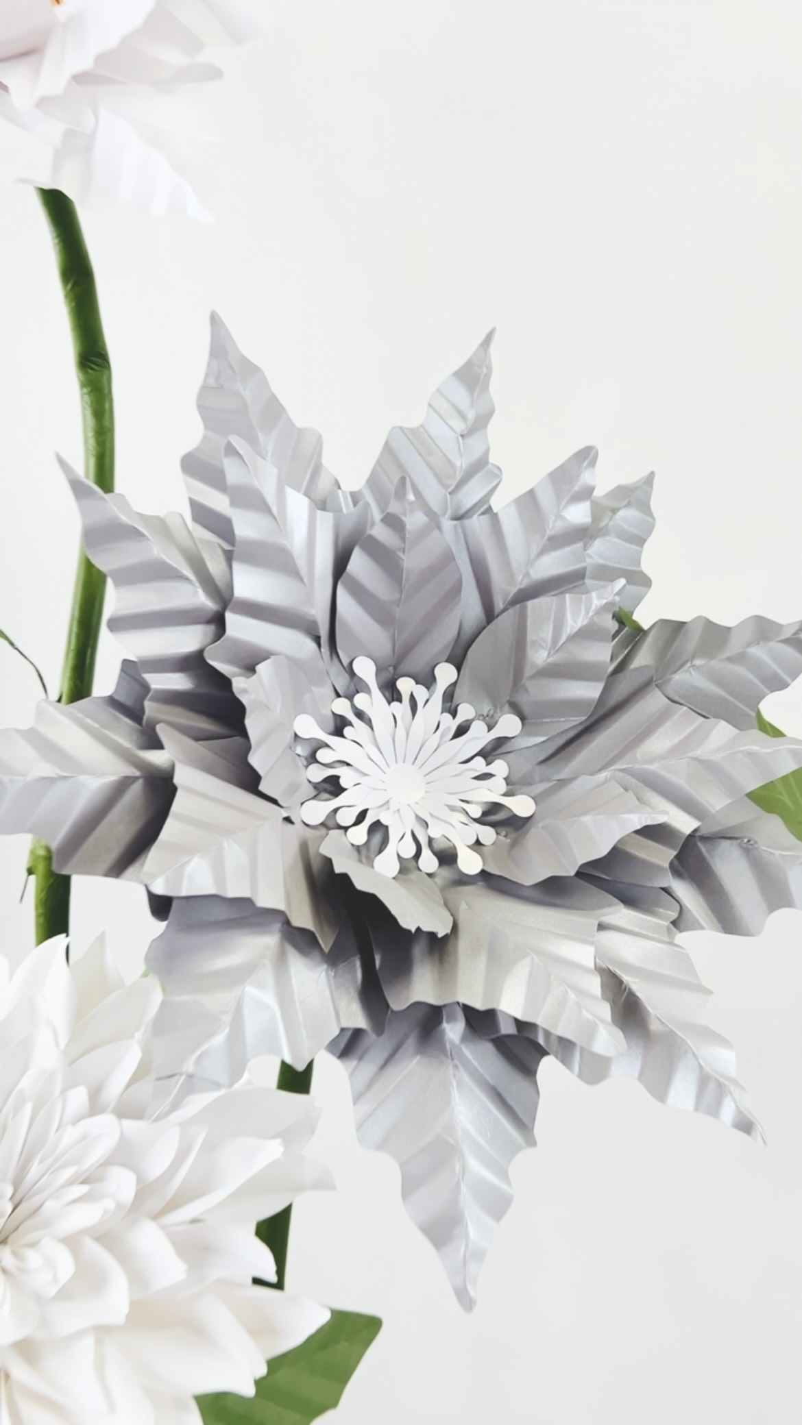 Stylized giant standing poinsettias for @margaritamedia at her pristine and divine @aerlume_studio
Tutorial coming this week 🤍
Paper silver shimmer 65lb cardstock from @michaelsstores
#giantflowers #paperflowerbackdrop #paperflowers #paperpoinsettia #christmasdecor
