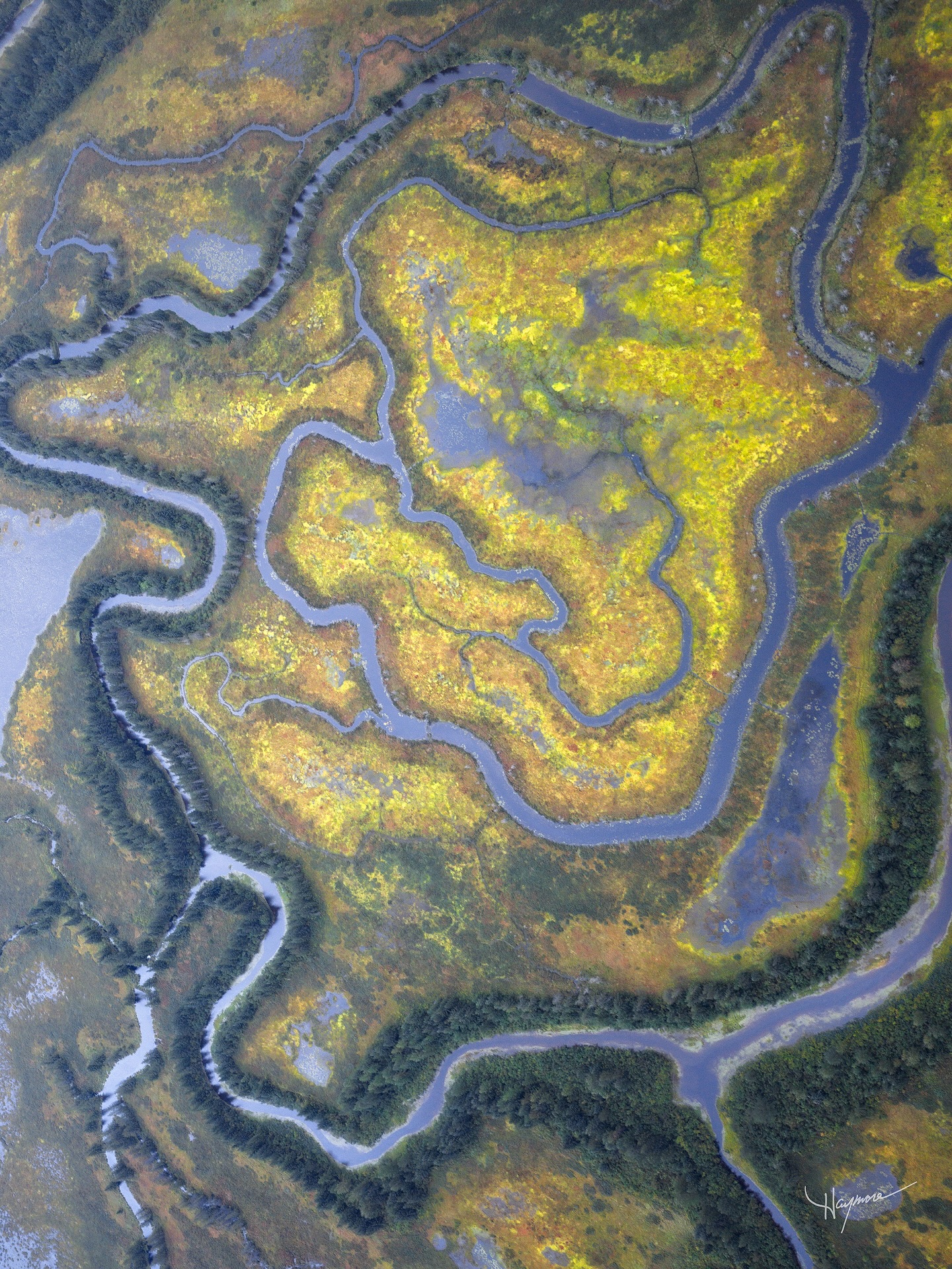The largest wetlands in the United States, spanning roughly 580 square miles. It’s difficult to see even a small fraction of the area.
From what you can see, from the air there’s an intricate labyrinth of ponds and sloughs, spiraling waterways, and swirling habitats slowly making their way from the glacial meltwaters to the Pacific Ocean.