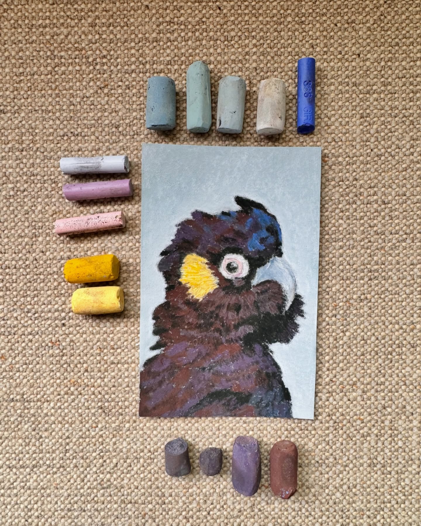 Yellow-tailed black cockatoo 💛🖤 #softpastels #softpastelpainting