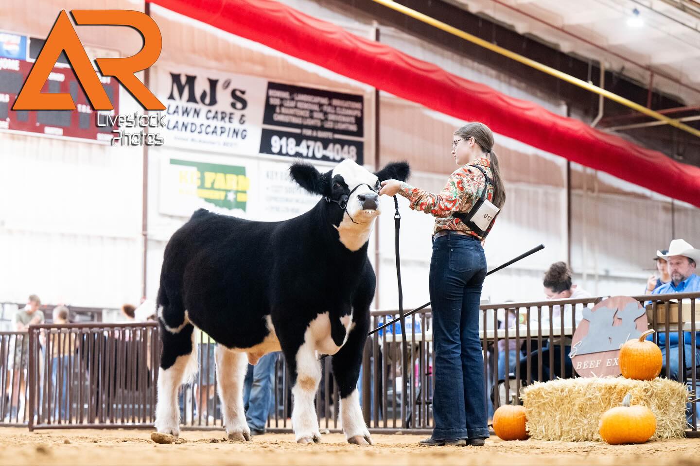 𝐒𝐄 𝐎𝐊𝐋𝐀𝐇𝐎𝐌𝐀 𝐁𝐄𝐄𝐅 𝐄𝐗𝐏𝐎💥
All-inclusive show photo package deal💰Receive all images of one (1) exhibitor for $𝟏𝟐𝟓.
Each additional sibling is $𝟓𝟎.
View and purchase your favorite photos at the link in my bio👈
📸 @abby_bianchi
For all other shows and information visit📲
ALEXISRADUNLIVESTOCKPHOTOS.COM