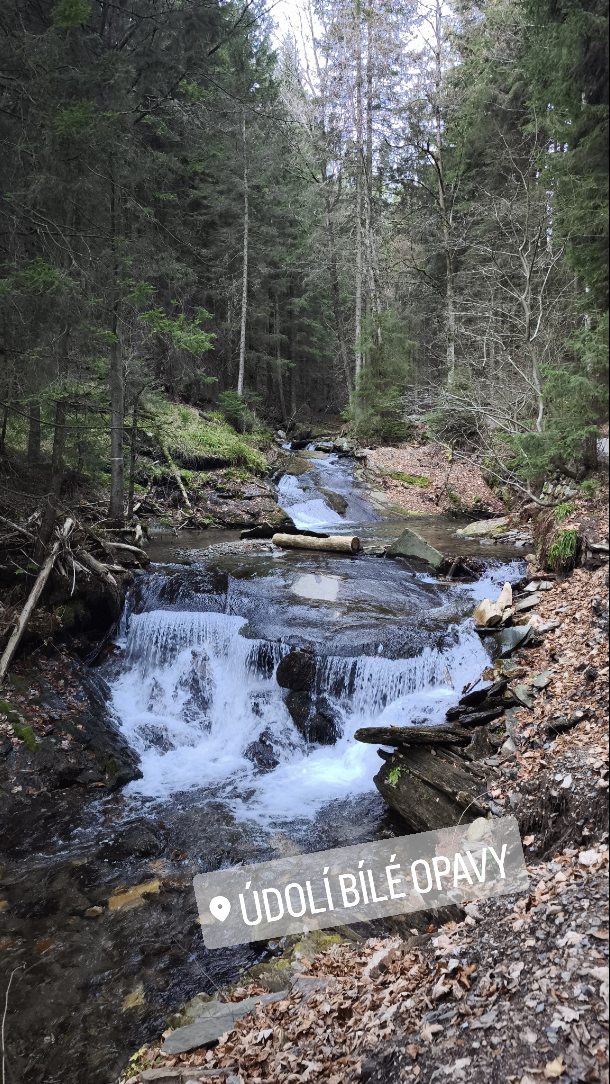 Páteční procházka liduprázdným #udolibileopavy...
#vimteamcz #jeseníky #jesenikymountains #praděd #visitjeseniky