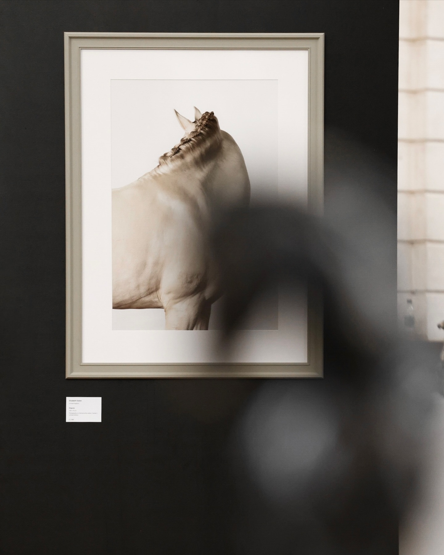 • The Dutch Equine Art Fair in Amsterdam. Photo drop of an incredible week 🤍 Surrounded by amazing art, wonderful people, and a breathtaking location.
@living.horse.museum.amsterdam
@paardverzameld
@dutchequineartfair_amsterdam
____________________
www.vietenimages.com
@vieten.images.official
#dutchequineartfair2025 #livinghorsemuseum #paardverzameld #equineart #contemporaryequineart #equineartist #amsterdamartscene #equinefineart #horseportraitsuk #cheshirephotographer