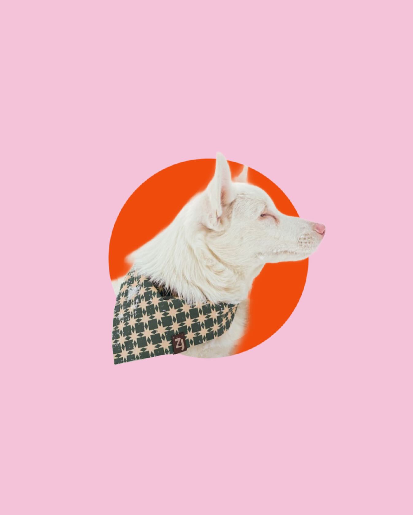 ✨ In Person Shopping! ✨ this weekend you will have TWO chances to shop Christmas in person! @londonbrewingca on Saturday and @punkrockfleamarketlondon on Sunday. See you there local friends ✨🎄