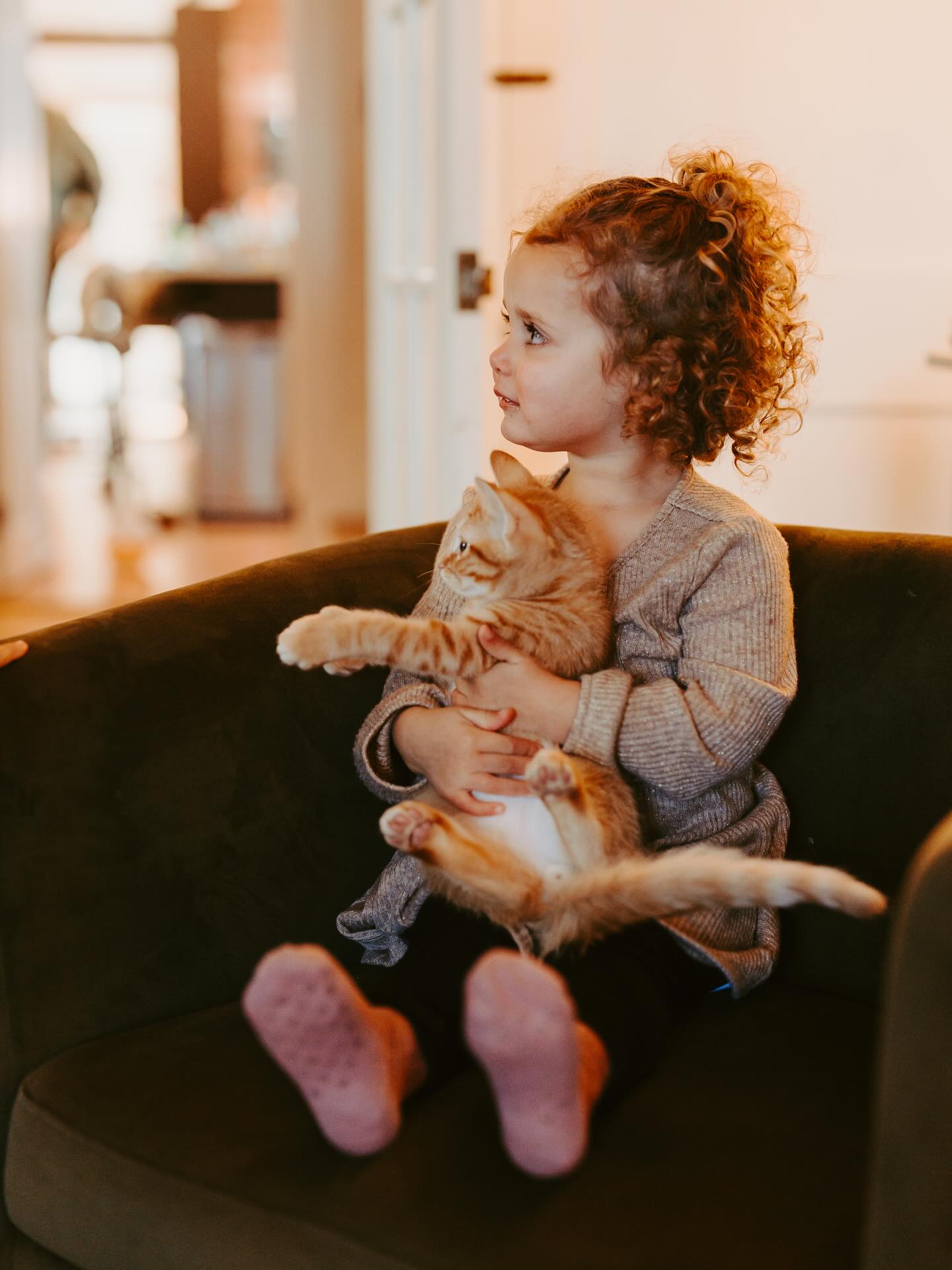 When I was 6 I had a cat name Bailey for 1 whole week. My mom and I were so allergic we had to give her back. But man kitten’s are just the cutest, especially when they are being snuggled by their human siblings!