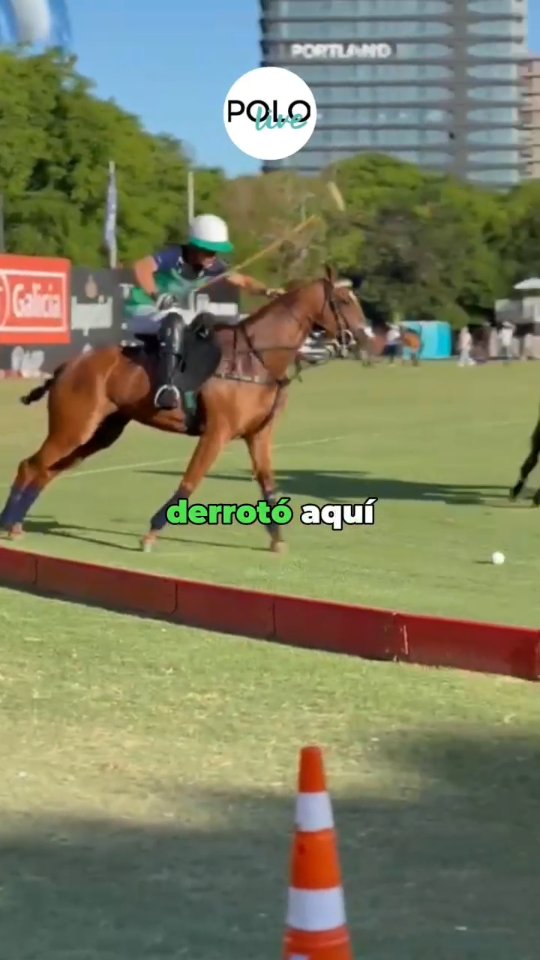 Un gran final de semana con una espectacular convocatoria que tuvo un intervalo de un dia por la tormenta del sabado.
Acompañados por @dmkorper
@bodegaaniello
#siemprepolo
#somospolo
#veniaverpolo
#vivielpolo
#sentielpolo
#revistapololive
#triplecorona2025