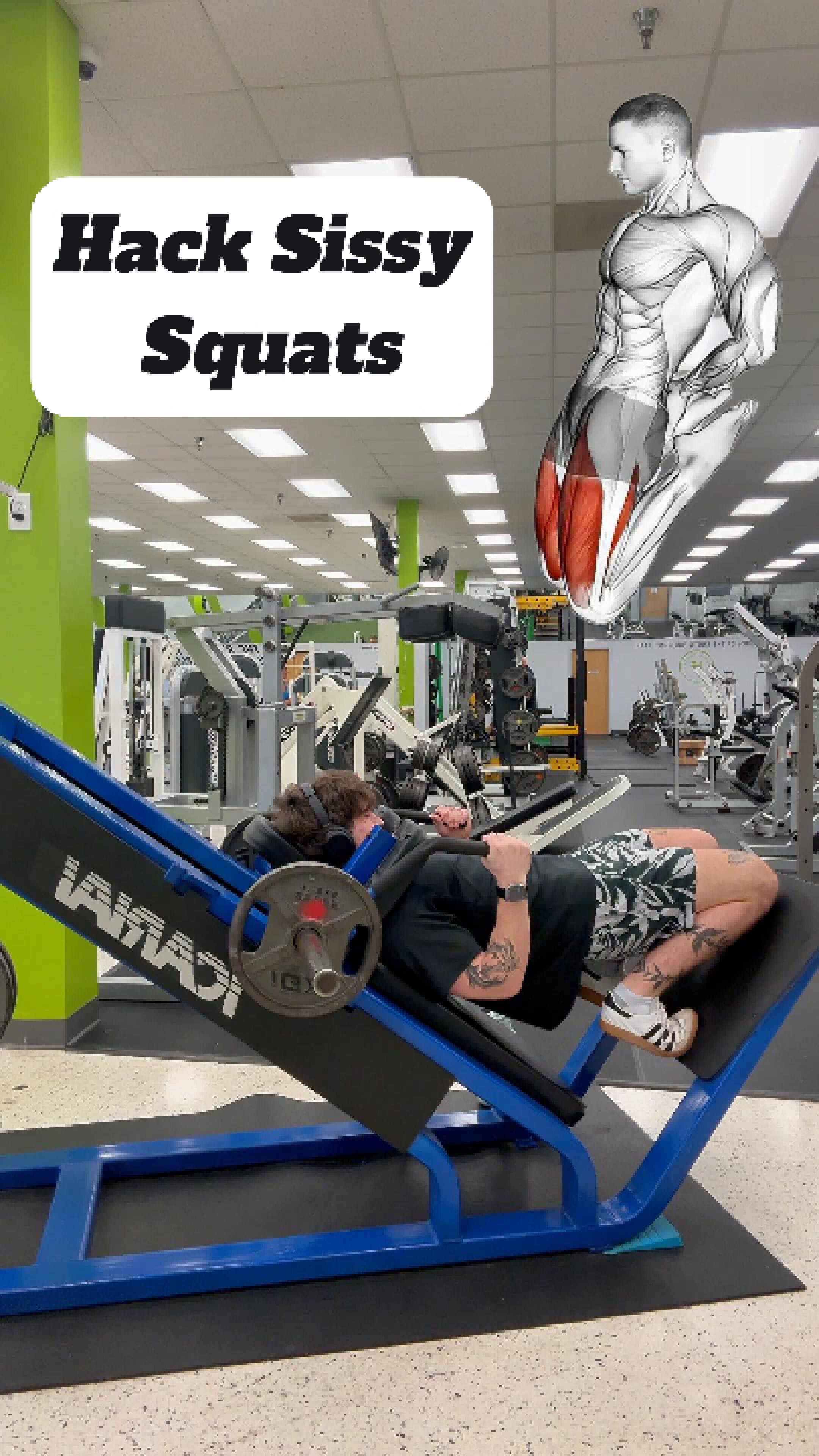 Hack Sissy Squat Overview ! Let me know what you think ? -
-
-
-
#gym #fitness #workout #fit #fitnessmotivation #bodybuilding #motivation #gymmotivation #training #gymlife #muscle #fitfam #health #lifestyle #sport #personaltrainer #fitnessmodel #crossfit #healthy #instagood #exercise #healthylifestyle #strong #instagram #instafit #fitnessaddict #follow #bodybuilder #fitnessjourney