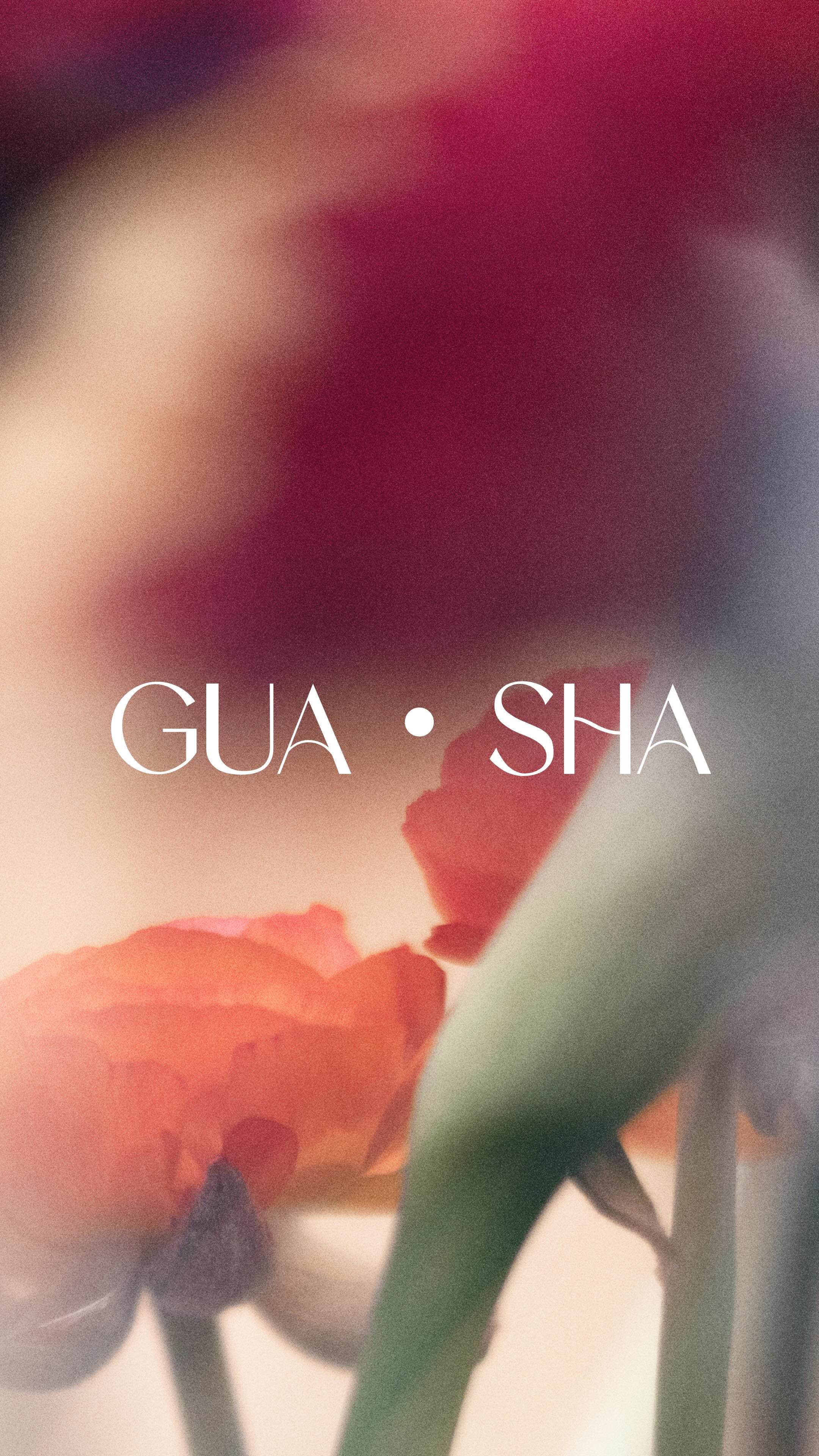 🌸 Les bienfaits du gua sha :
• Lisse les rides et ridules
• Redessine l’ovale du visage
• Stimule la circulation sanguine
• Draine la lymphe et les toxines
• Détend les muscles du visage et du cou
Issu de la médecine traditionnelle chinoise, où son nom signifie littéralement « gratter la maladie », le gua sha était à l’origine une technique destinée à libérer le corps des stagnations et des tensions en favorisant une meilleure circulation de l’énergie.
Aujourd’hui adapté au visage, c’est devenu un outil de beauté et de bien-être incontournable, à intégrer dans sa routine ou à découvrir lors d’un soin Kobido au cabinet.
__________
#guasha #massagefacial #kobido #drainagelymphatique #bienetremartinique
