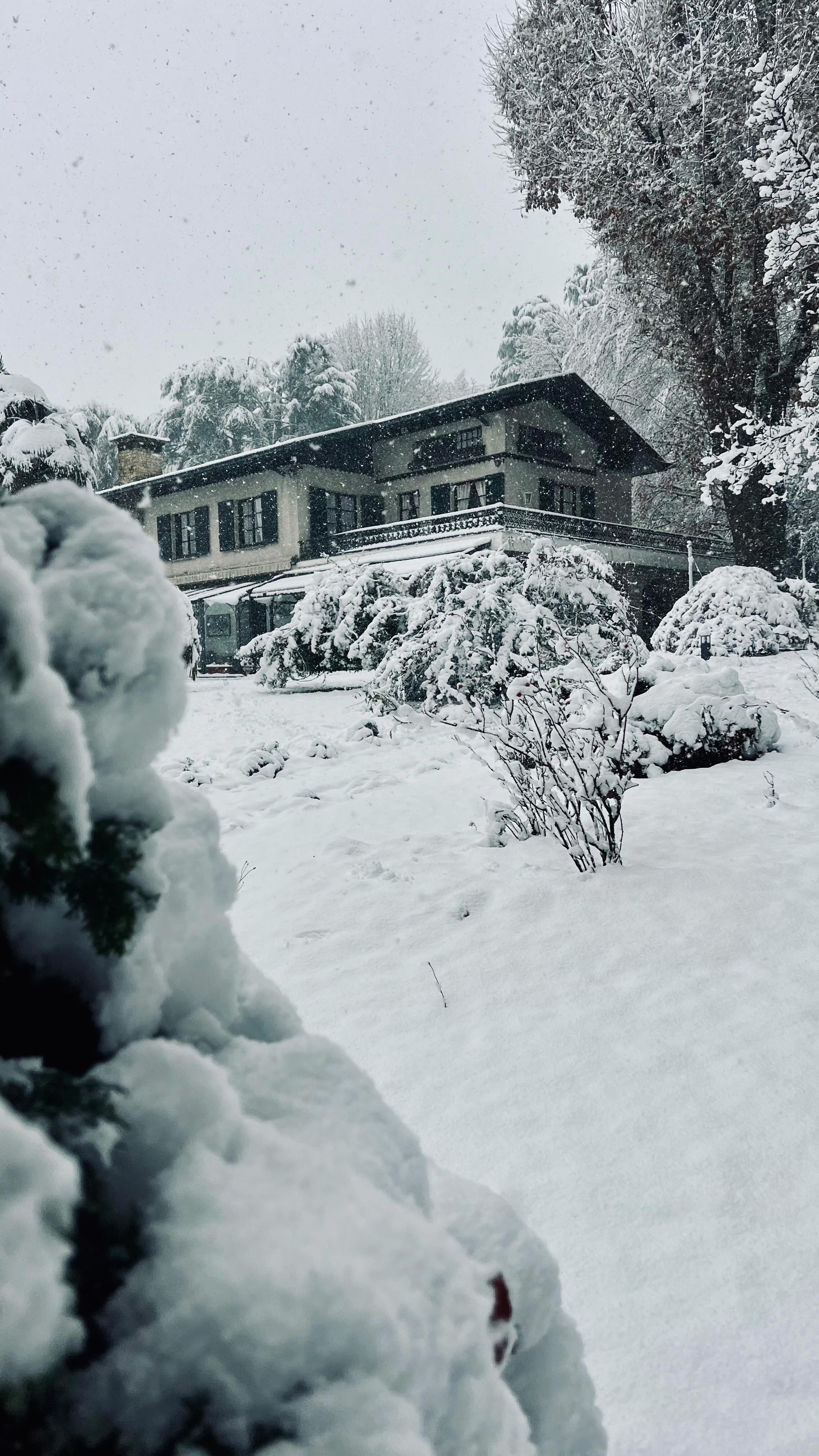 La Natura sorprende sempre!
Buon giorno!
#IntimateWedding
#PrivateVillaWedding
#WeddingVillaItaly