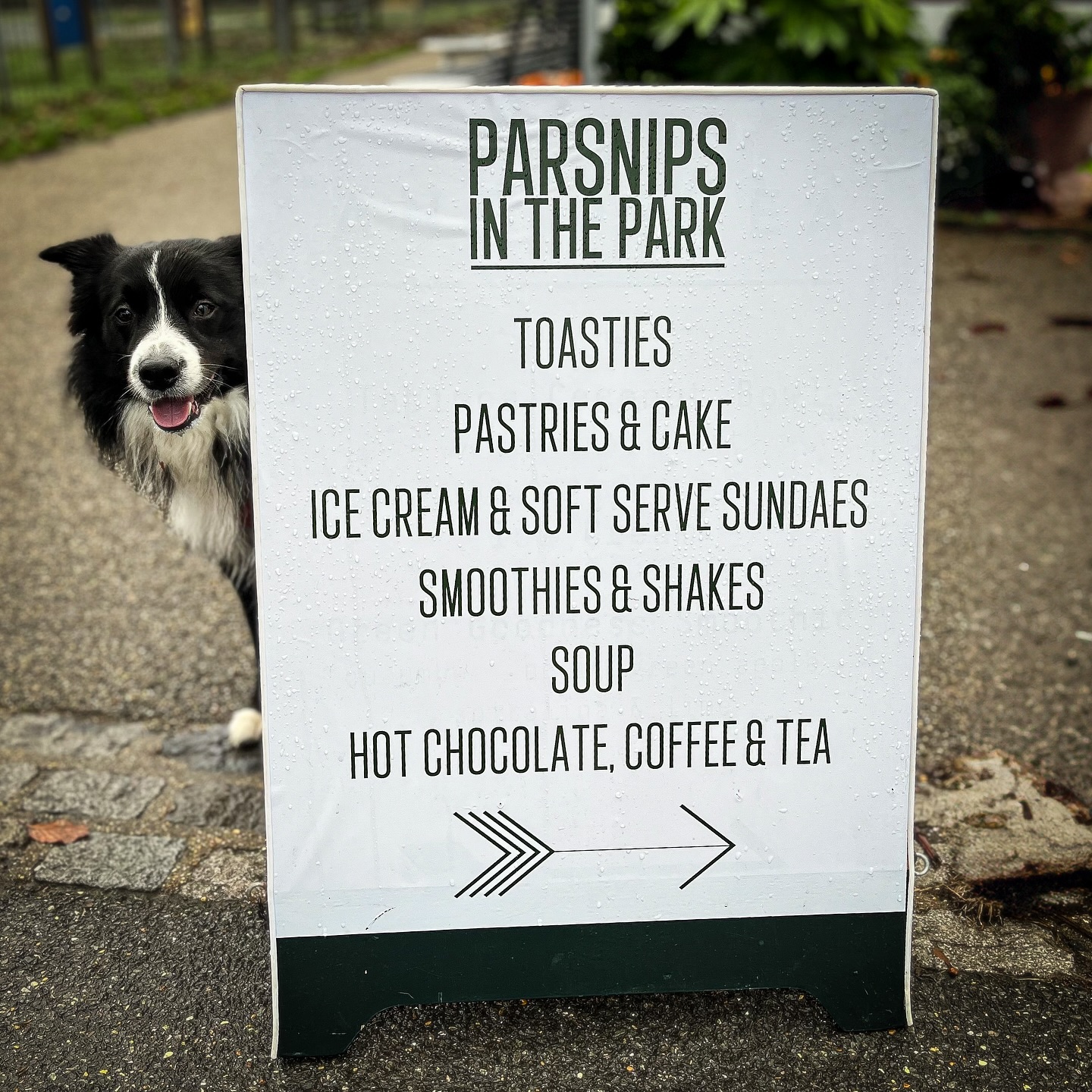 Resident pooch, Bailey was too cute not to post today! Proudly sat next to our Parsnips In The Park sign like he owns the place 😅.
Being opposite the playground, it’s the perfect place for kids and dogs alike and we’re here with the hot goods to keep you warm and energised as you run around keeping the little ones, as well as the dogs at bay!
#parsnipsofteddington #parsnipsinthepark #dogsofinstagram #dogsoflondon #dogsdoingthings #dogwalkinglife #dogwalkers #dogfriendlycafe #childfriendly #kidsanddogs #kidsactivity #playgroundfun #cafeculture #cafegram #cafebar #cafelovers #cafeespecial