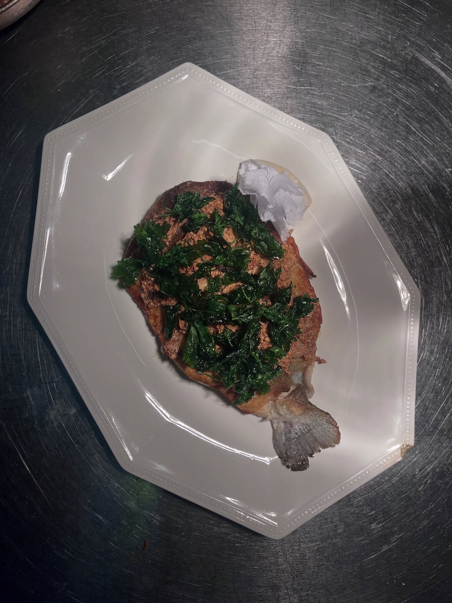 Beste Forelle Müllerin - coming soon! 😍