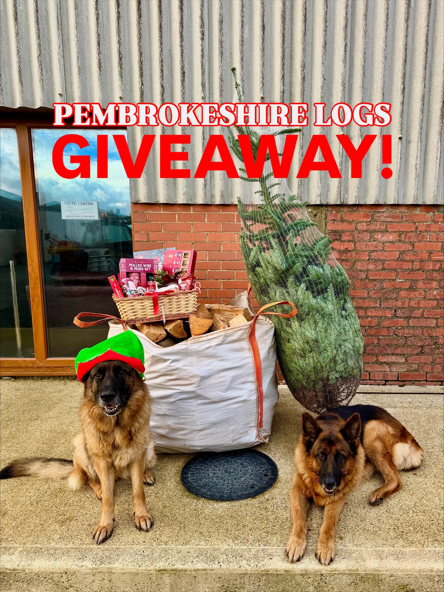 🔥 ENTER FOR THE CHANCE TO WIN THIS AMAZING GIVEAWAY! 🔥
WIN a 0.5m3 Bag of kiln dried softwood from Pembrokeshire Logs! 🪵 Delivered and STACKED 🎁
A locally grown Nordic 6ft Christmas Tree 🎄
A Christmas starter pack Hamper including:
- Festive Christmas candle
- Christmas mugs and Hot chocolate pack
- Mulled wine set
- Mince pies and Christmas pudding
- Advent Calendar
- Christmas baubles for the Christmas tree
- Chocolate coated Gingerbread Biscuits
- Gingerbread House
(Unfortunately dogs not included) 🤣🐕
Ready to get your home Christmas-ready this winter? 🎅🏽
All you need to do is ..
1. Follow @pembrokeshirelogs
2. Like this post
3. Tag 3 friends (more tags = more entries!)
4. Share this post to your story for an extra entry! (Make sure to tag us so we can see it)
The winner will be announced on the 1st December 🎄
Good luck, and stay warm! 🪵
#christmastree #firewoodgiveaway #Pembrokeshire #freefirewood #cosyvibes #giveaway #Logs #hamper #price #giveawayalert #warmwinter #wood #Christmas #supportlocal
*(T&Cs apply. Pembrokeshire delivery only.) *