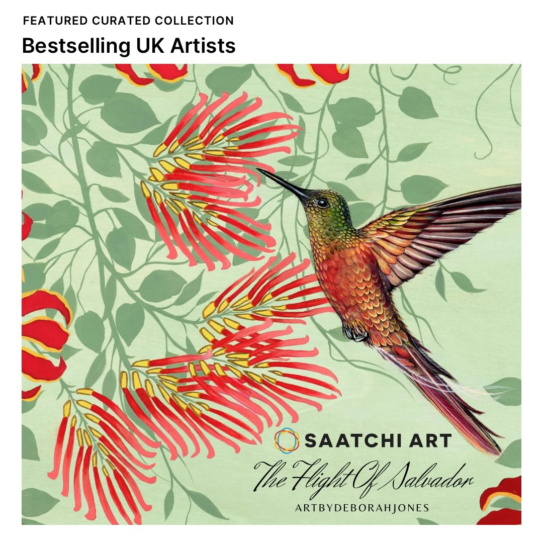 The Flight of Salvador was featured in a curated collection -
Bestselling UK Artists, by Megan Wright, Senior Curator @saatchiart
The original artwork when under the hammer and sold at a live auction at @chatsworthofficial this Spring @derbyshirecharityclayshoot my first live auction held by The Head Auctioneer, The Earl of Rosebury - Honorary Chairman, @sothebys …
But don’t worry… limited editions are currently available in three sizes.. 😍
Available in my galleries and online store
Head on over for #blackfridaydeals
#art #birds #feature #saatchiart #collection #fineart #art #promotion