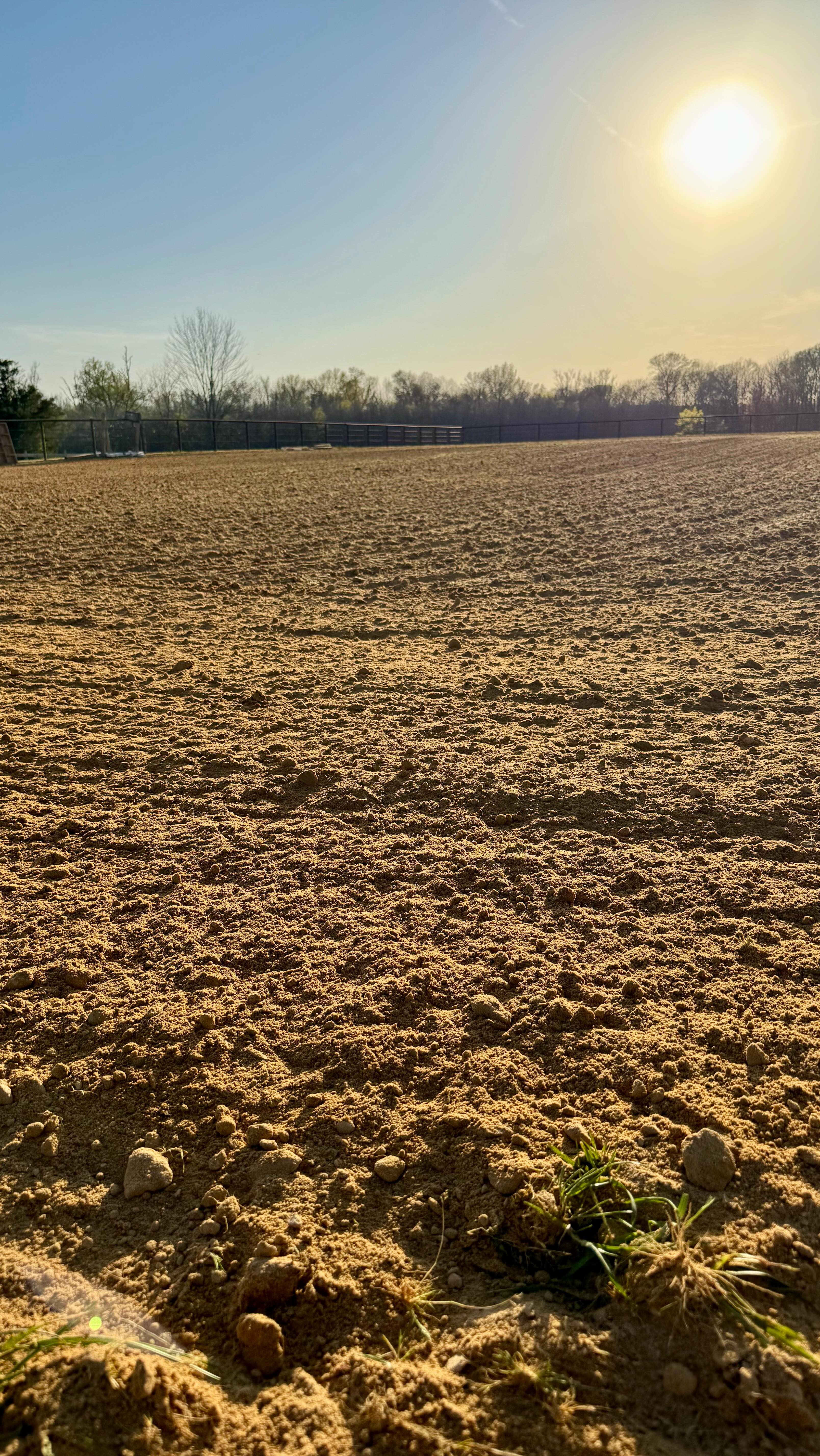 You think I’m hard to impress…
.
but hand me a freshly dragged arena with those perfect, crisp lines and suddenly I’m out here swooning over organized dirt.
.
It’s the simple things, truly. And by “simple,” I mean absolutely immaculate ground work that makes riding feel like a dream.
.
If you get it, you get it. Drop a 🐎 if a freshly dragged arena makes your whole day… and follow along for more farm + horse life chaos and charm.
.
#Willowbrookfarm #farmfashionfamily #wherefashionmeetslife #farmlife #farm #hobbyfarm #hobbyfarmlife #farmchores #farmchoreswithkids #horse #horses #horseriding #drivinghorses #equestrian #equestrianlife #westernriding #ponyoftheamericas #ponyoftheday #poniesofig #johndeere #johndeeretractors #johndeeretractor