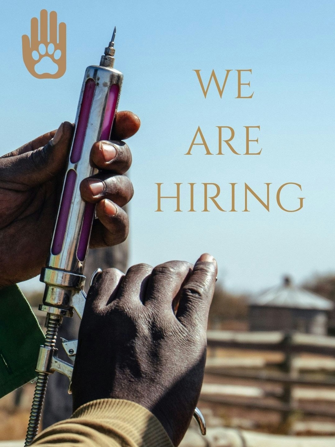 Loisaba Conservancy is hiring! We’re looking for a passionate and dedicated Veterinary Technician / Paravet to join our team and support wildlife and livestock health across Laikipia through our Mobile Veterinary Unit.
The role includes assisting in wildlife emergencies, supporting conservation medicine research, participating in community livestock health work, and helping maintain our veterinary facility and field equipment.
📍 Location: Loisaba Conservancy
📅 Deadline: 5th December 2025
📄 Full JD: www.loisaba.com/workwithus
📧 Apply by sending a single PDF (CV + cover letter + 3 references) to hr@loisaba.com
Join us in protecting one of Kenya’s most important wildlife landscapes. 🌿🦏🩺