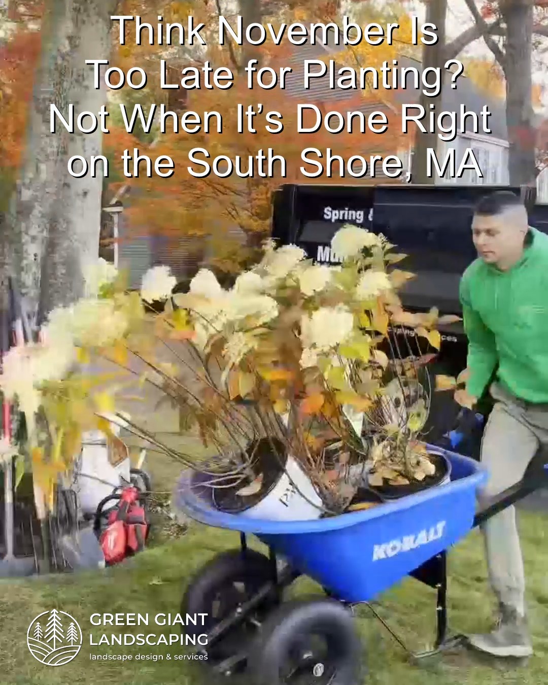 Think November Is Too Late for Planting? Not When It’s Done Right on the South Shore, MA.
Green Giant Landscaping,
Southeastern, MA.
Call now for your free quote!
Landscape architecture
Planting
Land clearing
Tree and shrub care
Seasonal cleanups
Old overgrown shrubs removal
Mulch installation
Garden maintenance
Weed barrier fabric
Bobcat services
Professional Landscape Design.
https://www.greengiantlandscaping.com/post/think-november-is-too-late-for-planting-not-when-it-s-done-right-on-the-south-shore-ma
Phone:
+1 413-406-9094
#fallcleanup #landscaping #landscapedesign #gardening #gardendesign #landscaper #landscapearchitecture #treeandshrubtrimming #mulch #Massachusetts #southshore #newton #boston #hingham #marshfield #scituate #NewtonMA #scituatema #milton #canton #wellesleyma #SpringCleaning #shrubtrimming #shrubcare #plantingdesign #gardentransformation #springcleanup #mulching #cobblestone #cobblestoneedging