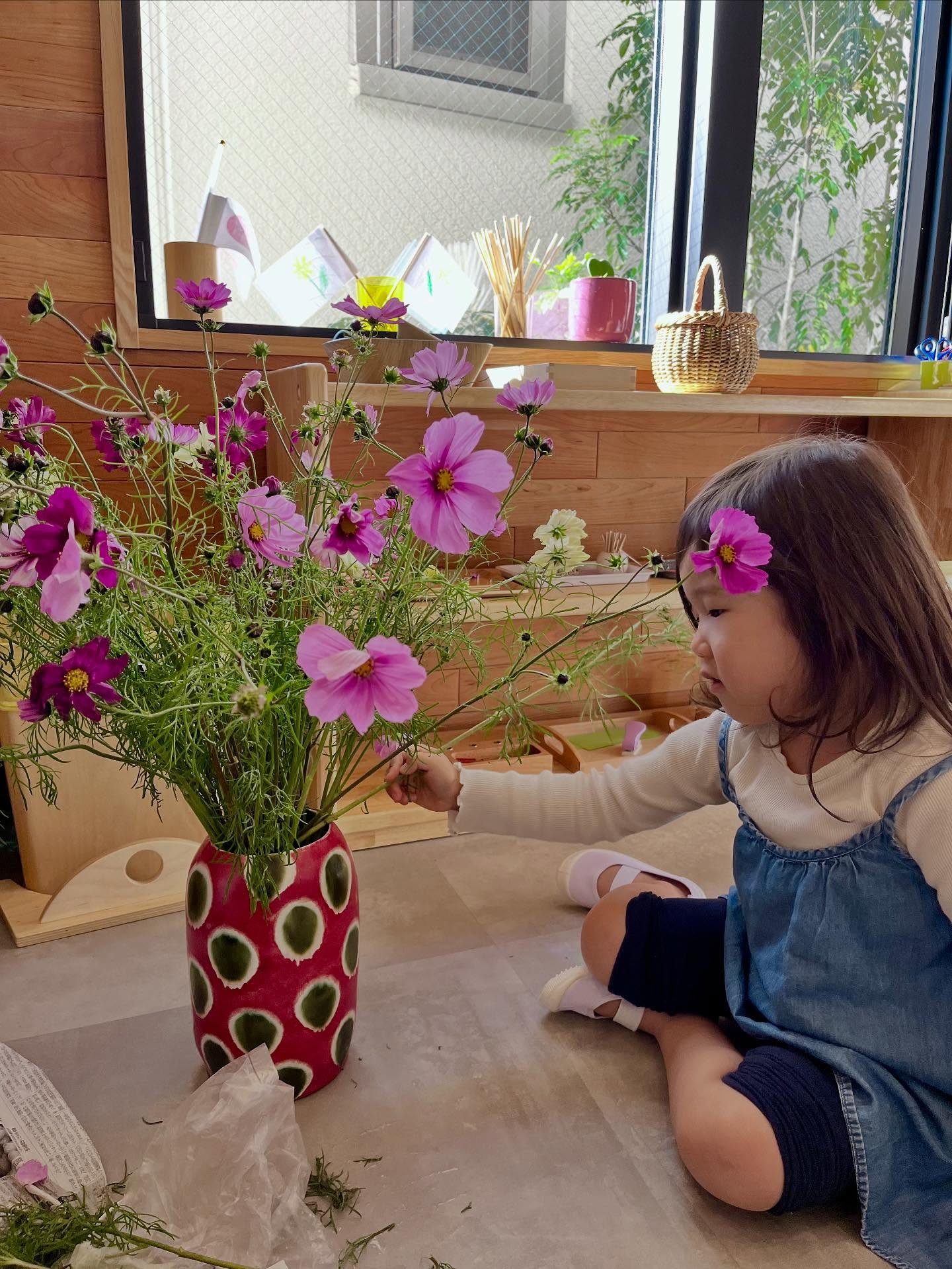 Gratitude begins with noticing 🌼 A small flower, a friend’s smile, a peaceful classroom moment - Montessori helps children see beauty in simplicity.
