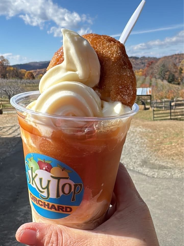 🍁🍂☀️The weather could not be more perfect to enjoy this November day!
All activities are open from 9-5 and it’s a perfect day to ride the bee train, shoot the cannon, pan for gems, explore the bamboo, play on the playground, enjoy a pizza picnic, visit our animals, and enjoy this lovely weather!
We’re open every day until November 30th (except for Thanksgiving Day.) Come see us!