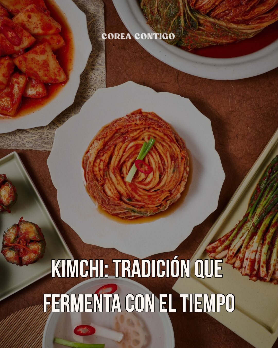 🥬 Kimchi: Tradición que Fermenta con el Tiempo
El 22 de noviembre celebramos uno de los tesoros más queridos de la gastronomía coreana: el kimchi 🇰🇷.
Este plato no es solo una guarnición; es una tradición con más de 2.000 años de historia. Nació como una forma de conservar verduras durante los fríos inviernos ❄️ y, con el tiempo, se transformó en un símbolo de identidad, sabor y cultura para las familias coreanas.
La mayoría conoce el kimchi de col (baechu-kimchi: 배추김치) 🥬, pero existe una increíble diversidad: kimchi de cebolla larga (pa-kimchi: 파김치) 🧅, kimchi en agua (mul-kimchi: 물김치) 💧 y muchas otras versiones que cambian según la región y la familia.
✨ Además, el kimchi es un alimento fermentado muy saludable.
Su proceso de fermentación produce probióticos naturales 🧪 que ayudan a la digestión, fortalecen el sistema inmunológico 💪 y aportan vitaminas y antioxidantes. Por eso muchos lo consideran uno de los “superalimentos” de Corea 🌟.
🔥 Un dato que sorprende:
El kimchi rojo y picante que todos reconocemos hoy no es tan antiguo como parece. El ají llegó a Corea en el siglo XVI, así que el uso de gochugaru (고춧가루) 🌶️ se popularizó mucho después. Antes, el kimchi era más suave y sin picante.
👨👩👧👦 ¿Qué es el gimjang (김장)?
Es la tradición coreana de preparar grandes cantidades de kimchi antes del invierno. Las familias, vecinos y amigos se reúnen para cortar, sazonar y fermentar juntos 🤲. No es solo cocinar: es un acto comunitario de cooperación, compartir y cuidado mutuo.
Esta costumbre es tan importante culturalmente que la UNESCO la reconoció como Patrimonio Cultural Inmaterial 🏅.
Hoy celebramos su historia, su diversidad y ese sabor que sigue fermentando recuerdos generación tras generación.
¿Ya probaste kimchi? 😋🔥
#corea #coreadelsur #coreacontigo #coreacontigotour #viajeacorea #turismoencorea #tourenespañol #guíaenespañol #comidacoreana #gastronomíacoreana #kimchi #gimjang #comidafermentada #díadekimchi #culturacoreana #saborcoreano #김치 #김장