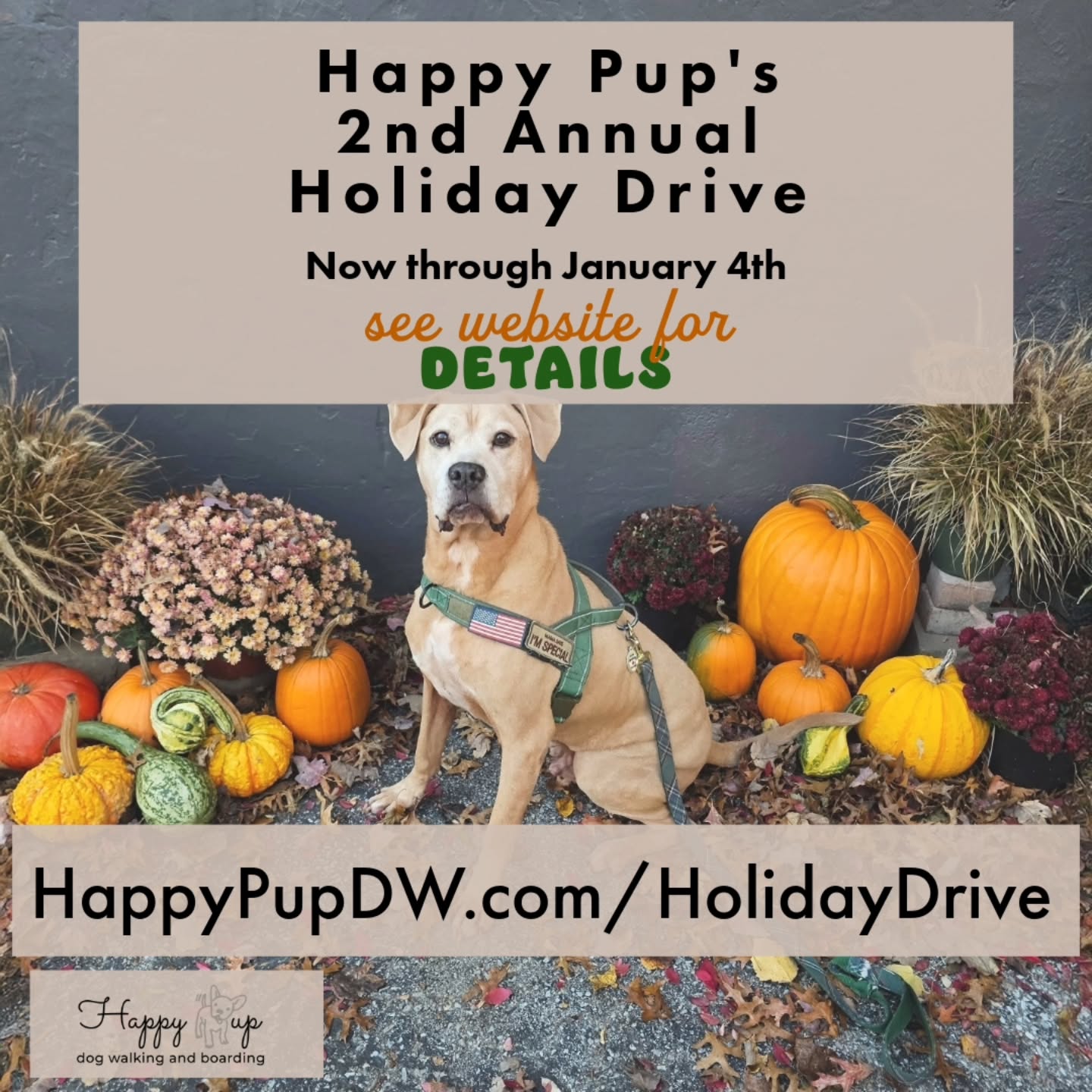 It's that time of year again, we are so excited to kick off Happy Pups 2nd Annual Holiday Drive! π₯³
Benefiting the same 3 fantastic shelters, Walden Humane, Pets Alive, and ARF Beacon. πΎ
You all were SO generous last year, we can't wait to deliver the same joy this year. β€οΈ
Full details can be found at happypupdw.com/holidaydrive - link is in bio! π«ΆπΌ
Wishing you all a very happy holiday season from Happy Pup π©·βοΈ
#happypup #happypupdogwalking #happypupdogboarding #happypupholidaydrive