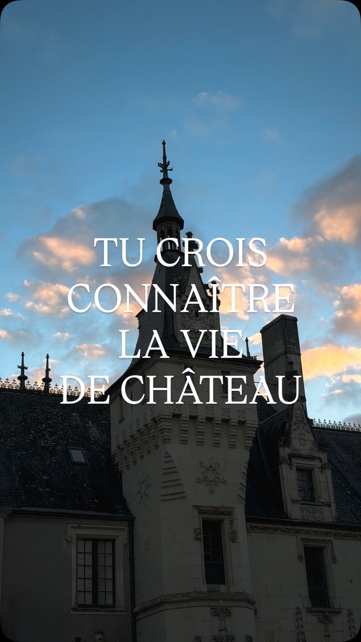 Demain, je lance une nouvelle série quotidienne :
« La vie de château, c’est quoi ? » 🏰✨
Entre beauté, humour, imprévus, magie, travaux, portes secrètes et aller chercher le courrier… je vous montre tout.
Tu t’abonnes pour suivre l’aventure ? 🤍
#château #viedechateau #aestheticreel
#instareels #vivredansunchateau #renovation #castlelife #patrimoine