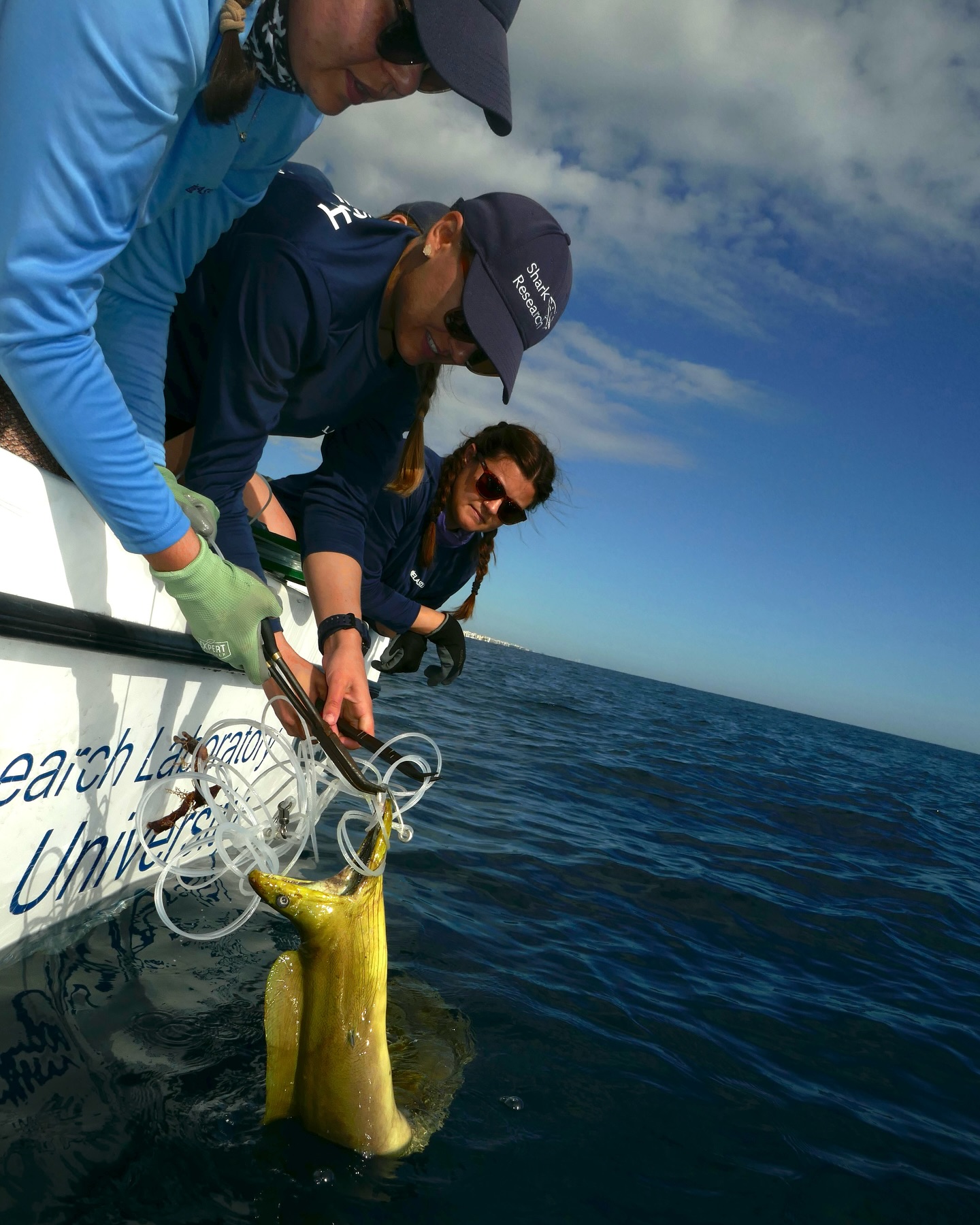 Finally got back out on the water yesterday. A couple of the lines were bitten through by something big and we caught and released this green #moray #eel. Even though we didn’t #tag any #sharks it was still great to be out on the water. Looking forward to the next #fishing trip. #shark #tagging #sharkmigration @dusky_boats @fauscience @colganfoundation