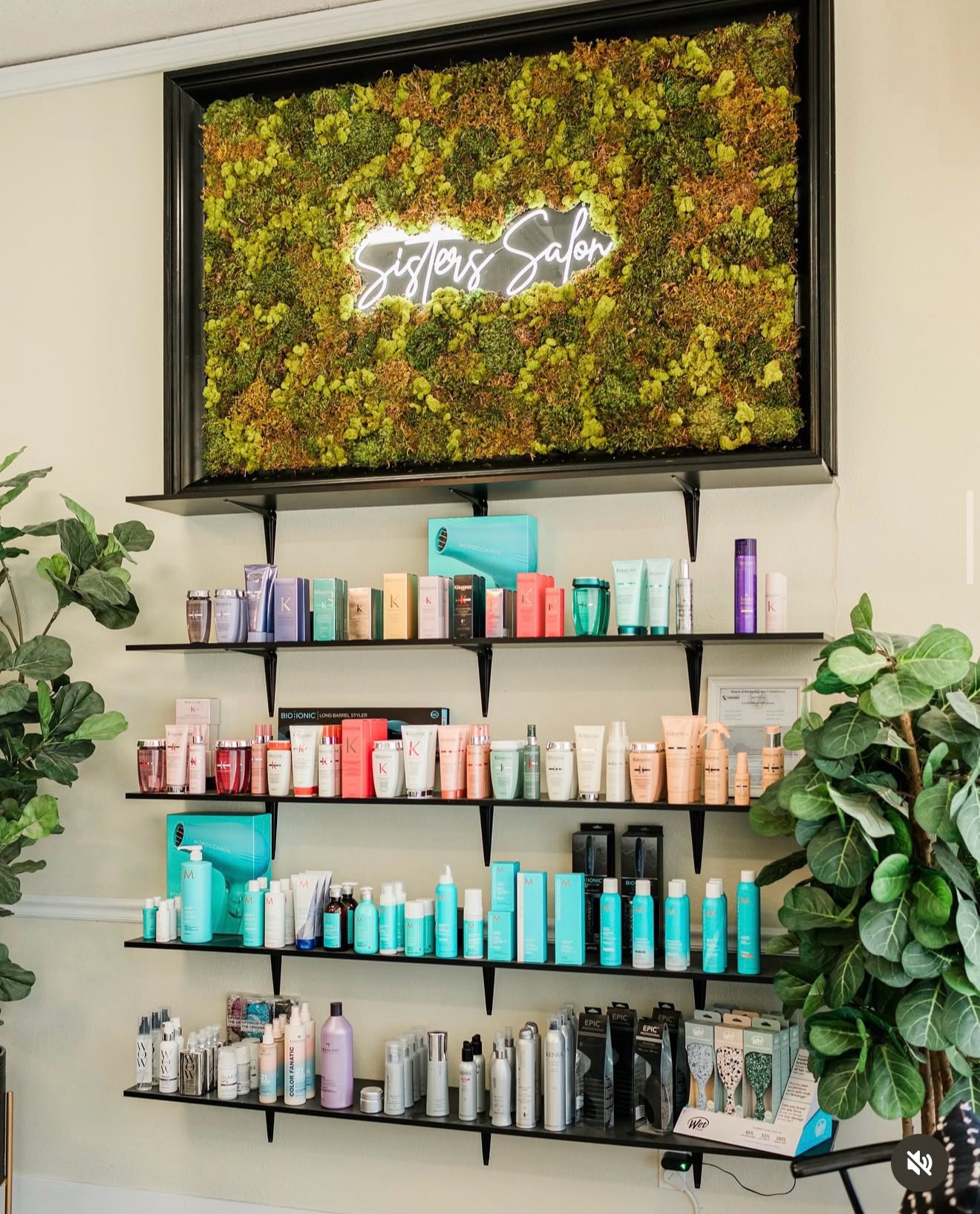 It’s beginning to look a lot like Christmas 🎄🔔 🎶
Head down to @sisters_salon_dixon for all of your holiday hair care needs! @kerastase_official has the perfect luxury products for both women and men! Use them right away to have your hair looking perfect for those holidays parties or wrap them and side them underneath the tree for that special someone!🥰🎄
.
.
.
.
.
#sisterssalondixon #kerastase #hairproducts #haircare #treatyourself #beauty #fullservicesalon #hairsalon #hairstylist #hairstylistlife #dixonhairstylist #vacavillehairstylist #davishairstylist #sacramentohairstylist #bayareahairstylist #californiahairstylist #norcalhairstylist