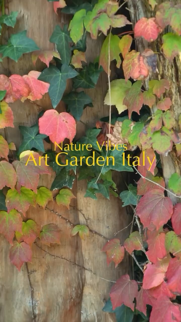 Wenn Kunst auf Herbst trifft… 🍂
Zwischen raschelndem Laub, goldenen Sonnenstrahlen und sanfter Stille liegt ein Ort, der inspiriert – der Kunstgarten im Kränzelhof.
Komm vorbei, spür die Verbindung von Natur & Skulptur, lass dich treiben und tauch ein in herbstliche Vibes voller Kunst & Gefühl.
📍 Noch bis 12. November: Jahresausstellung „fort und fort träumen…” mit Werken von Michael Höllrigl.
#Kunstgarten #Kränzelhof #HerbstVibes #KunstUndNatur #Südtirol #LandArt #Skulpturengarten #Kunstgenuss #Herbstspaziergang #MichaelHöllrigl #Jahresausstellung #KArtKulturverein